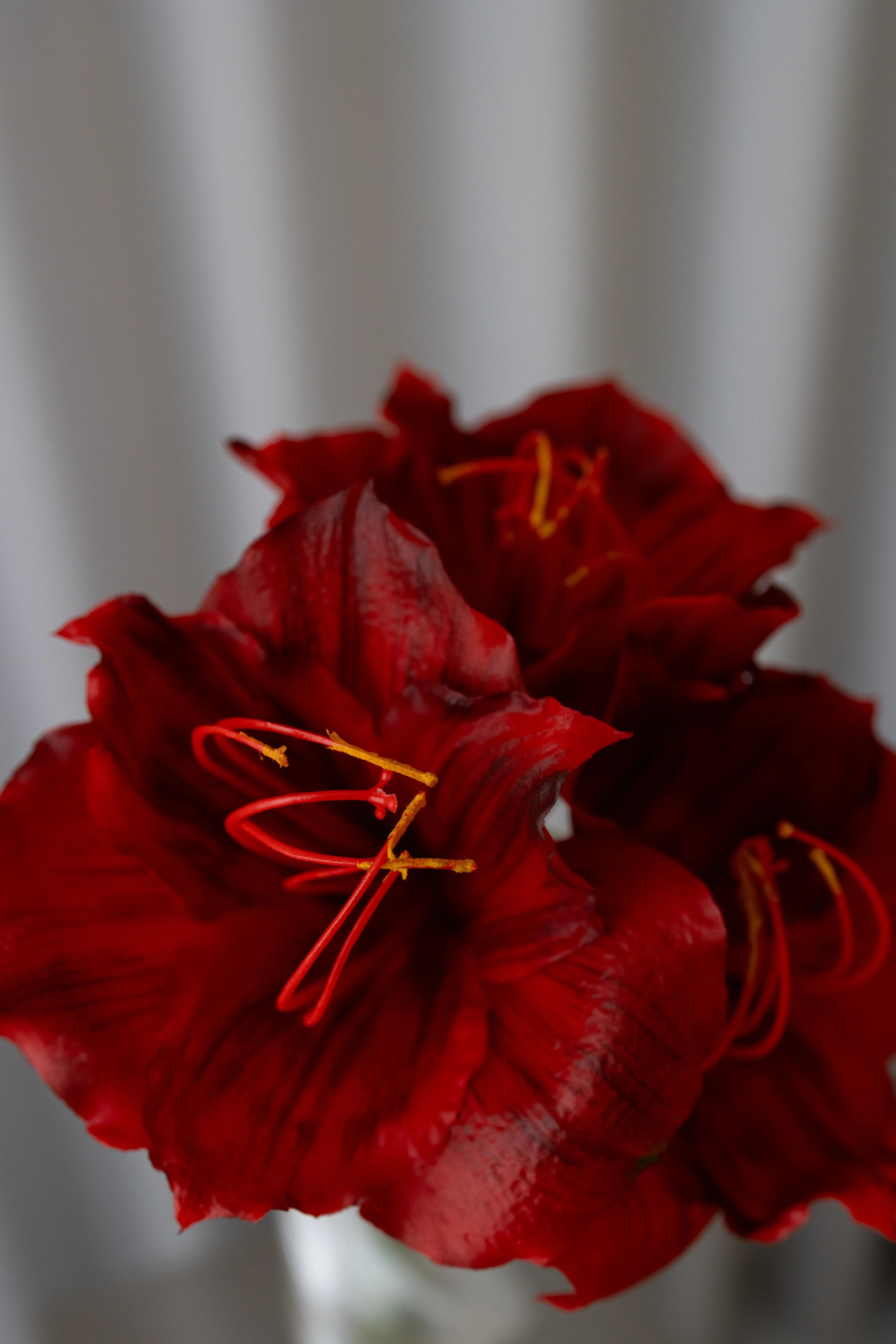 Kunstig amaryllis - rød