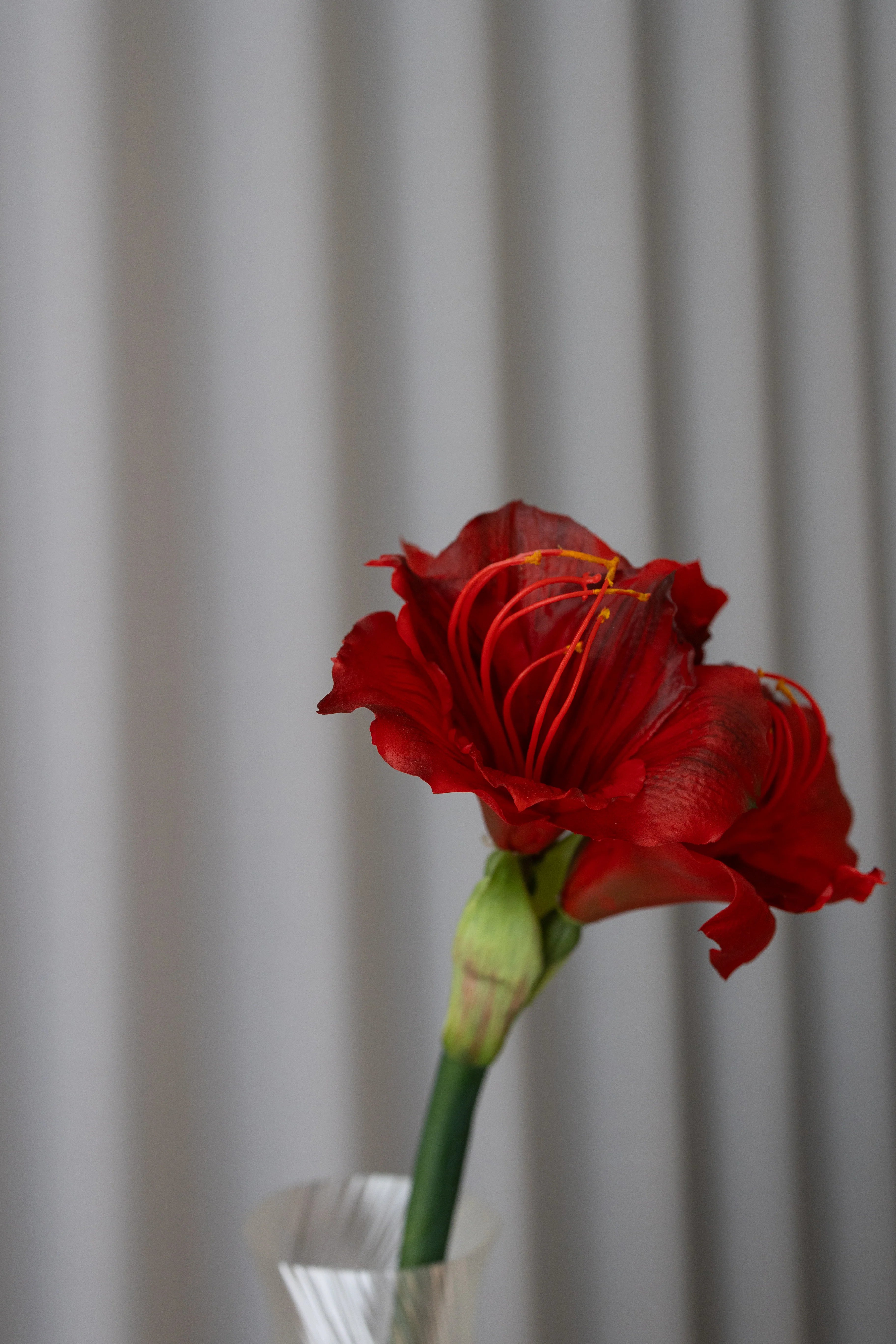 Kunstig amaryllis - rød