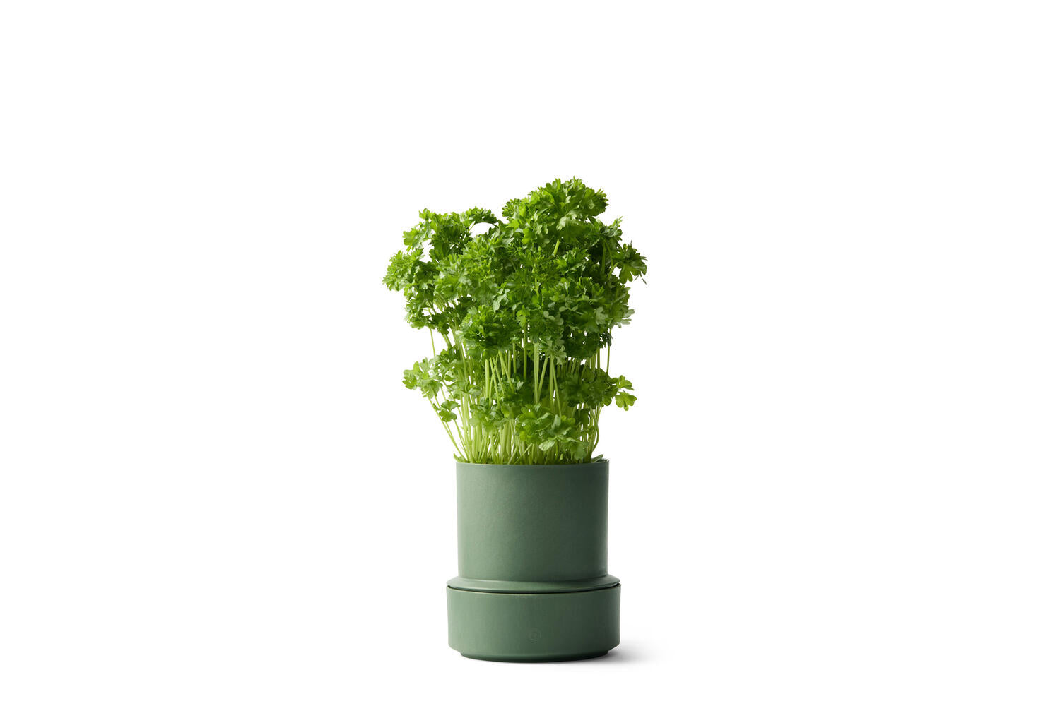 Billund selvvandende urtepotteskjuler, Parsley - H14 cm