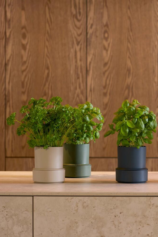 Billund selvvandende urtepotteskjuler, Parsley - H14 cm
