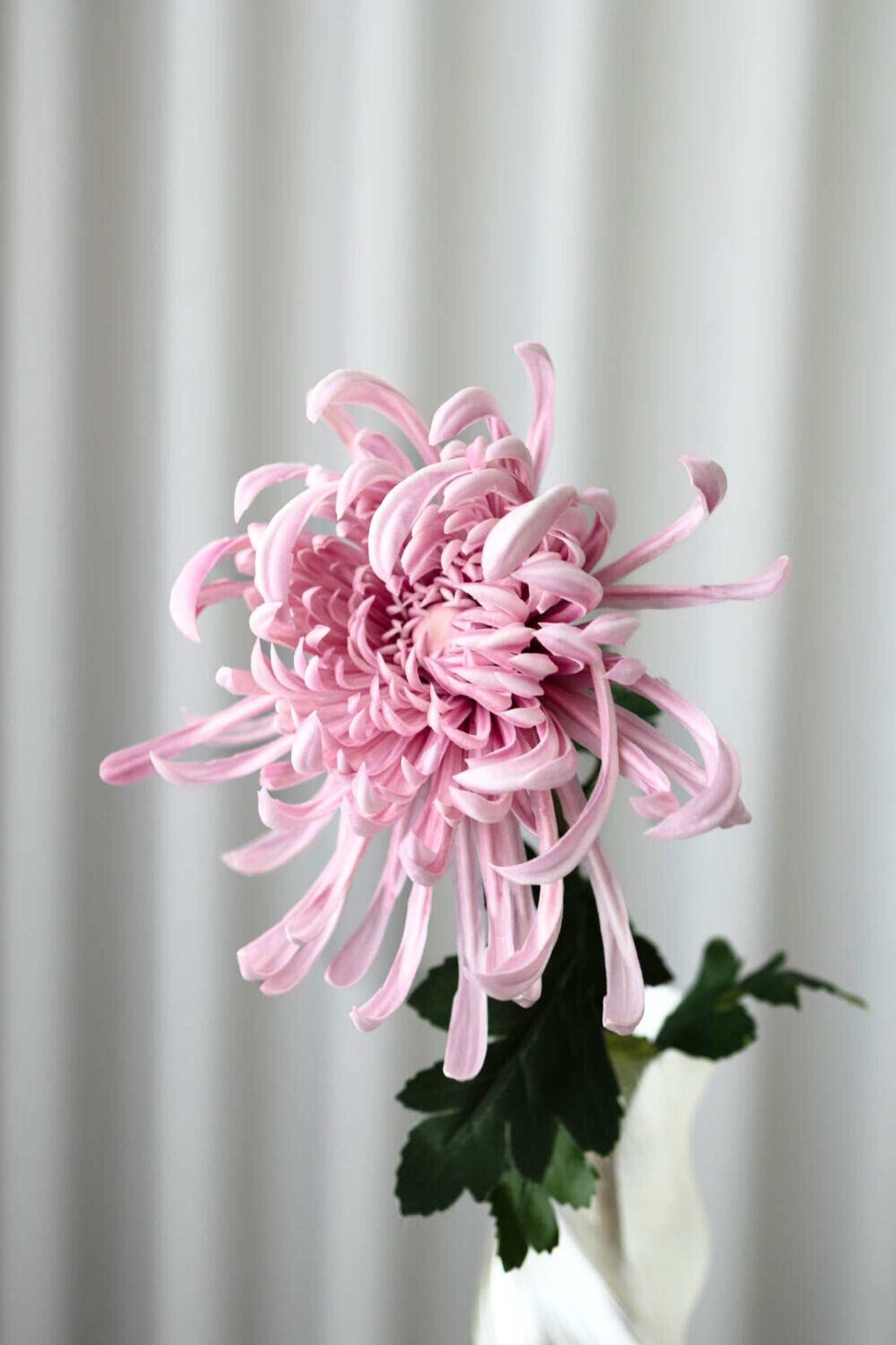 Kunstig chrysanthemum - lilla