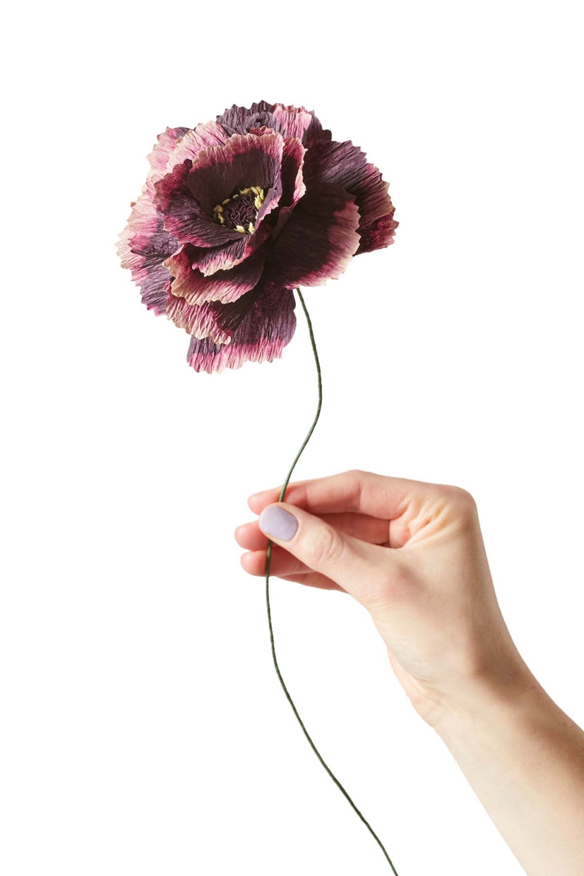 Peony Papirblomst - Aubergine