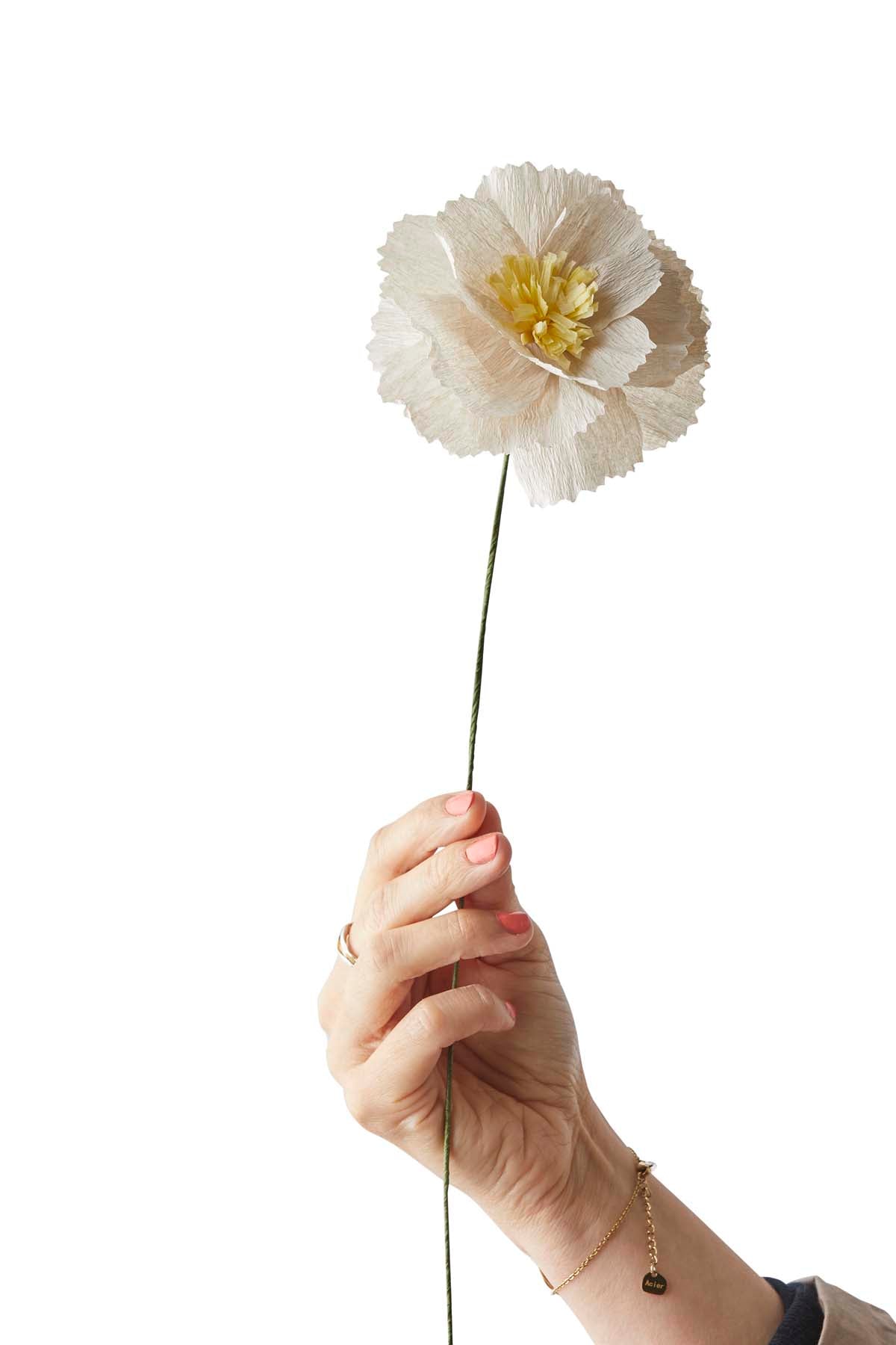 Peony papirblomst - grå