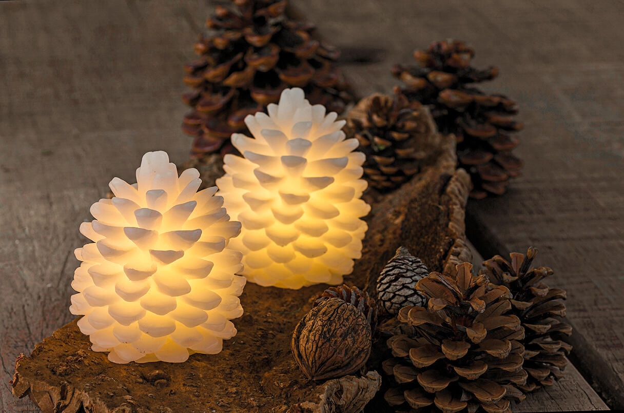 Clara kogle mini, 2-pak - hvid