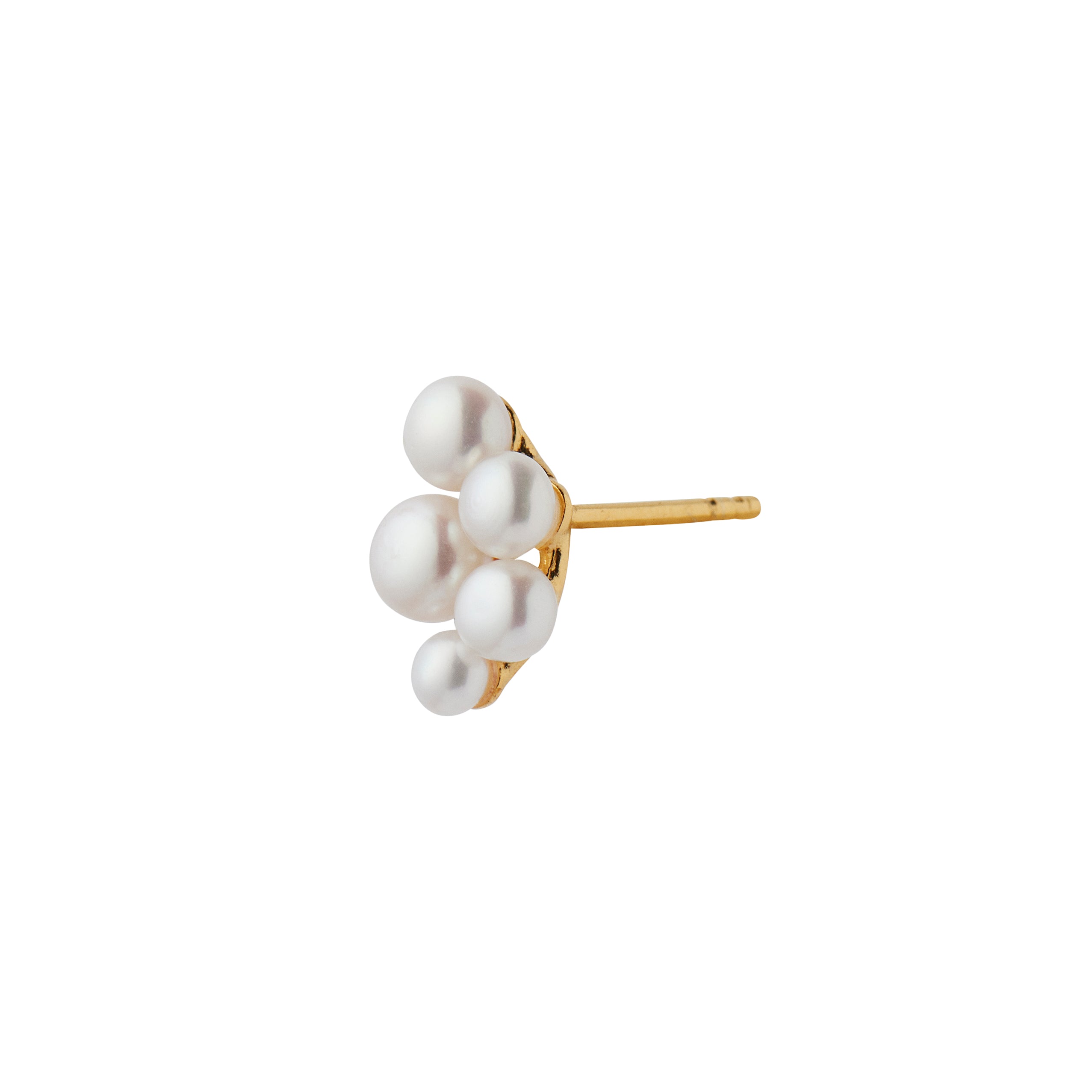 Bloom pearl berries ørering - forgyldt