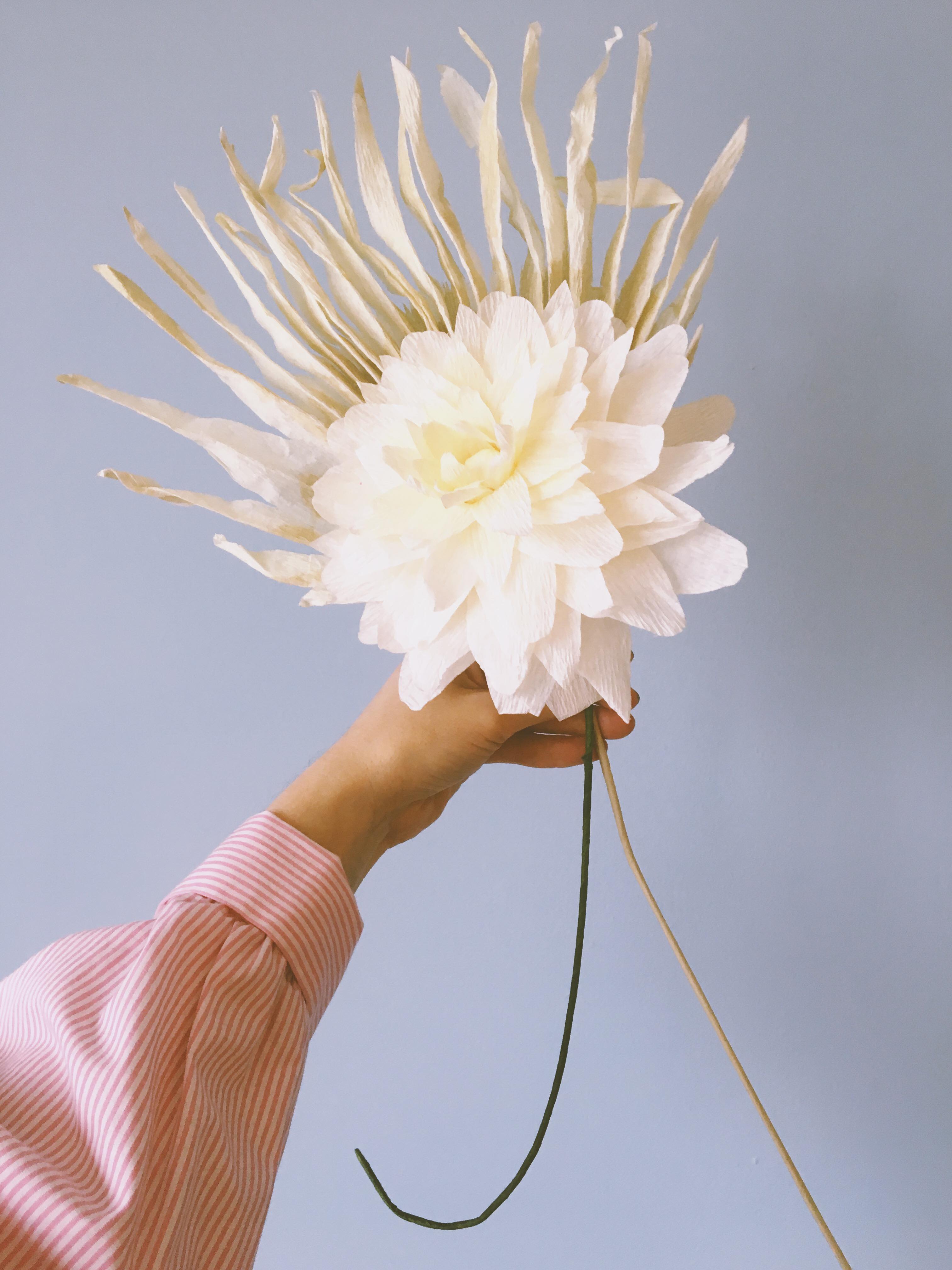 Grand Dahlia papirblomst - sand