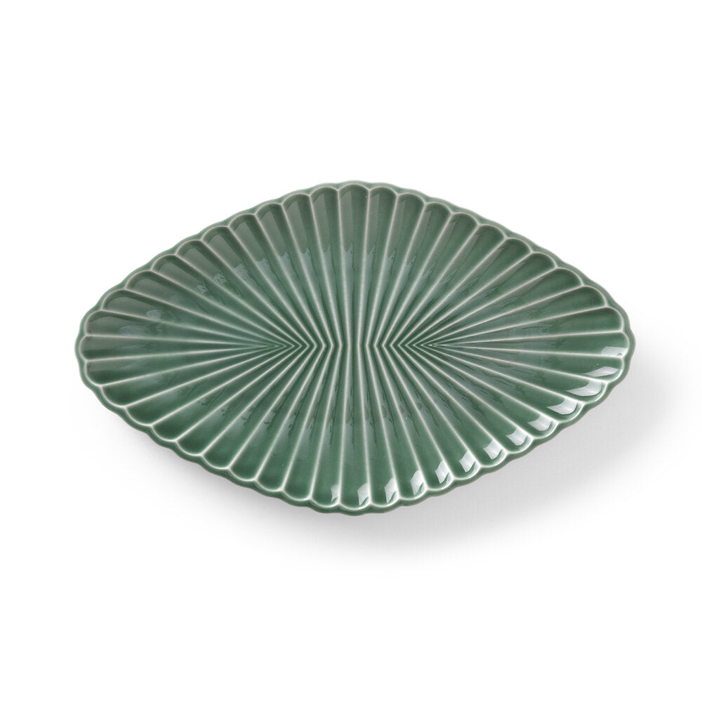 Samsurium asiet, spruce - 26,5 cm.