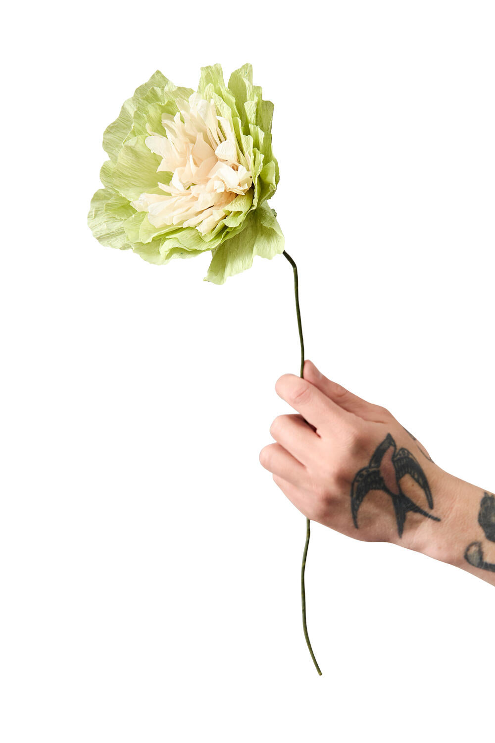 Veggie Rose papirsblomst - grøn