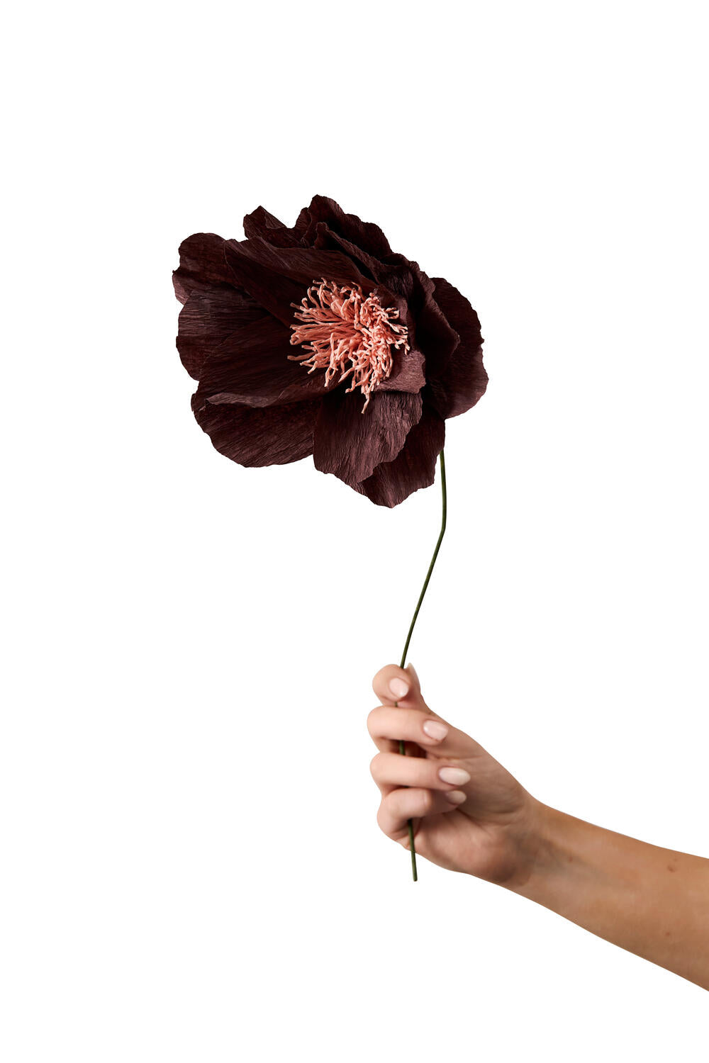 Rhapsody Rose papirsblomst - brun