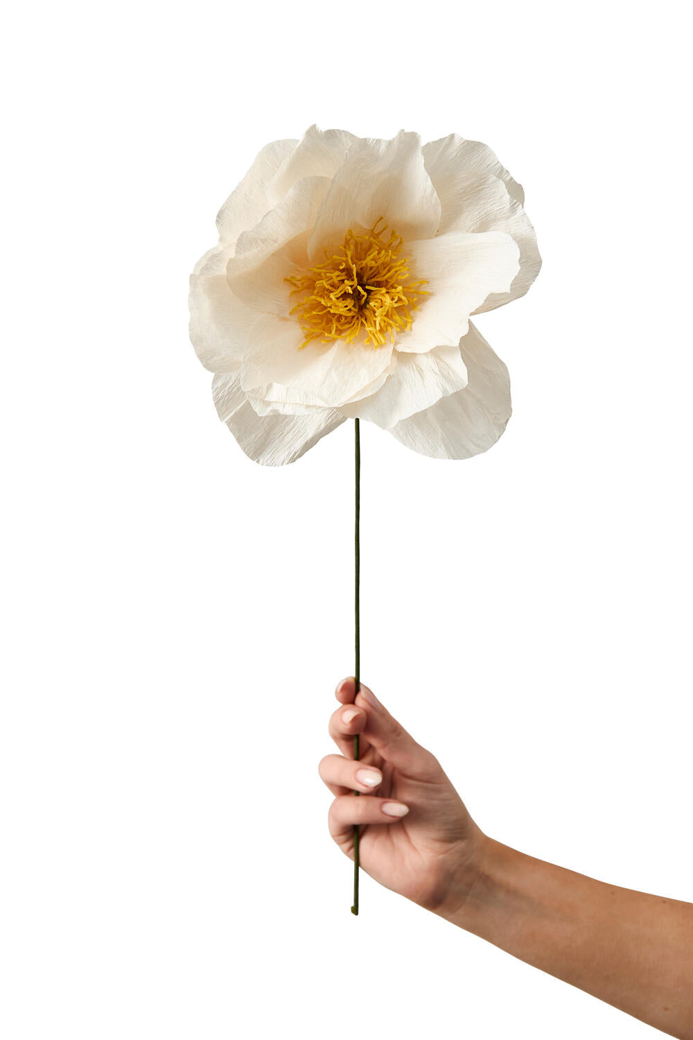 Rhapsody Rose papirsblomst - sand