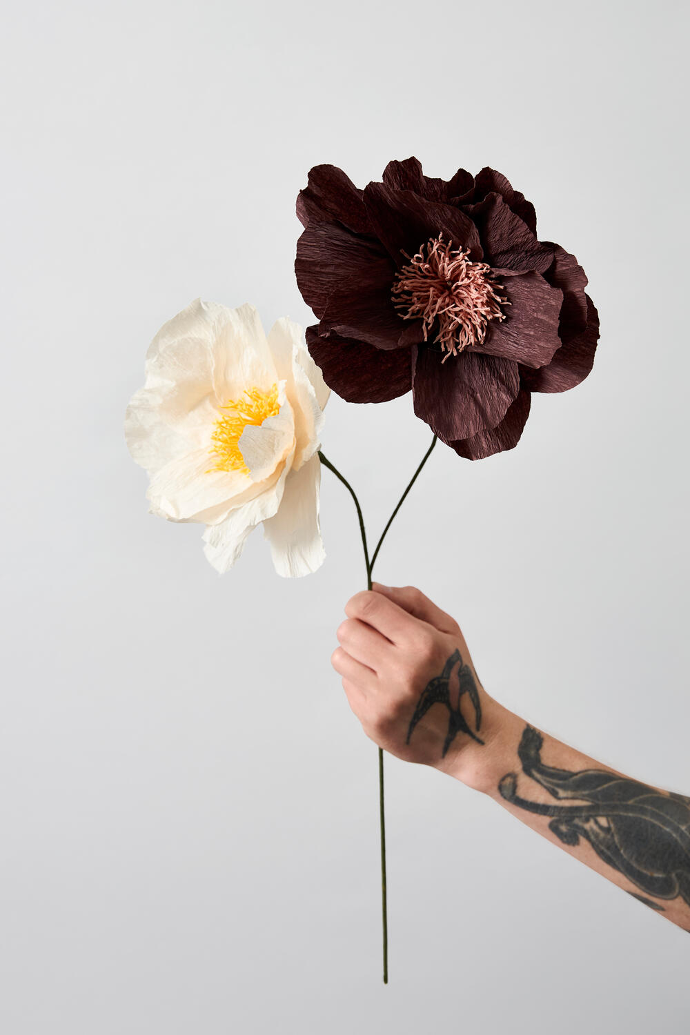Rhapsody Rose papirsblomst - sand