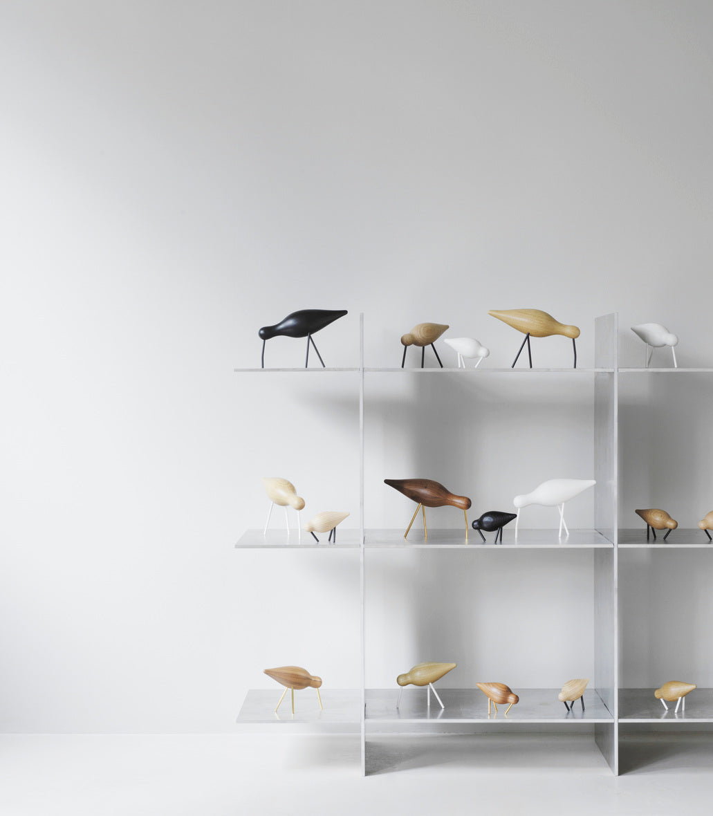 Shorebird, stor - sort