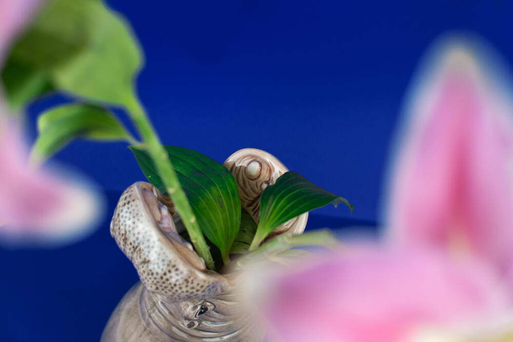 Hungry Hippo vase - grå