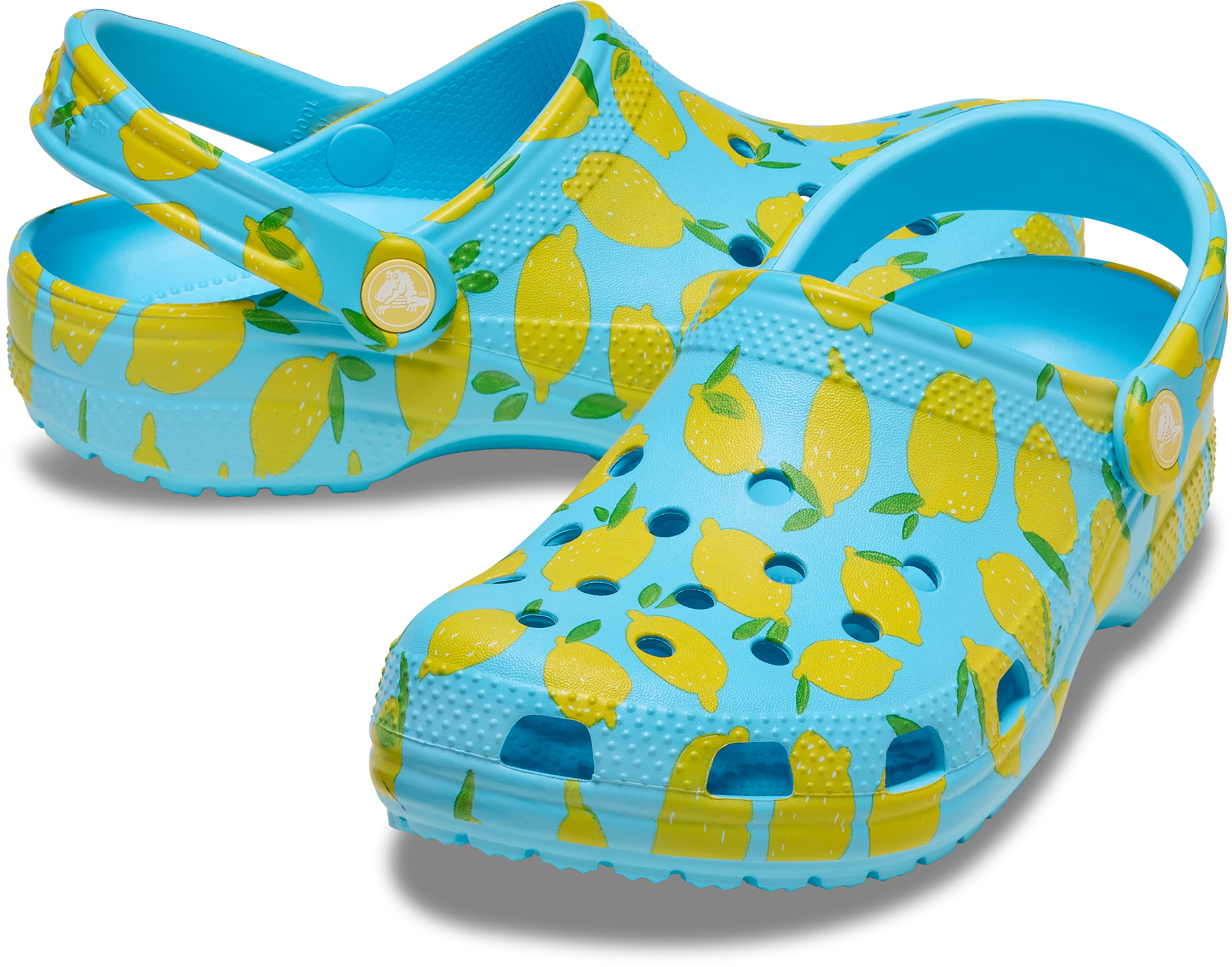 Classic Fresh Fruits Clogs - Tinted Glass