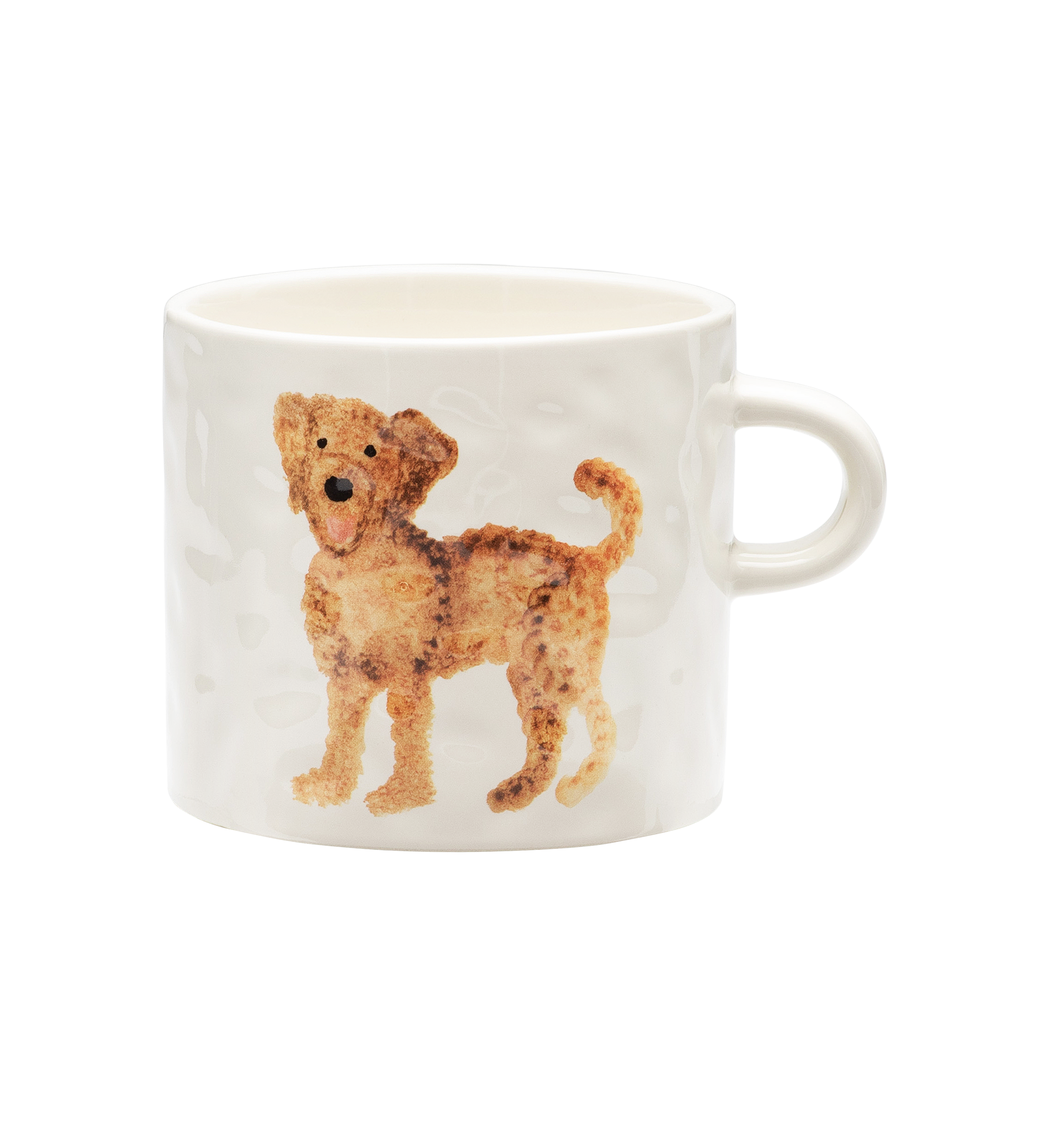 Labradoodle kop - Multicolour