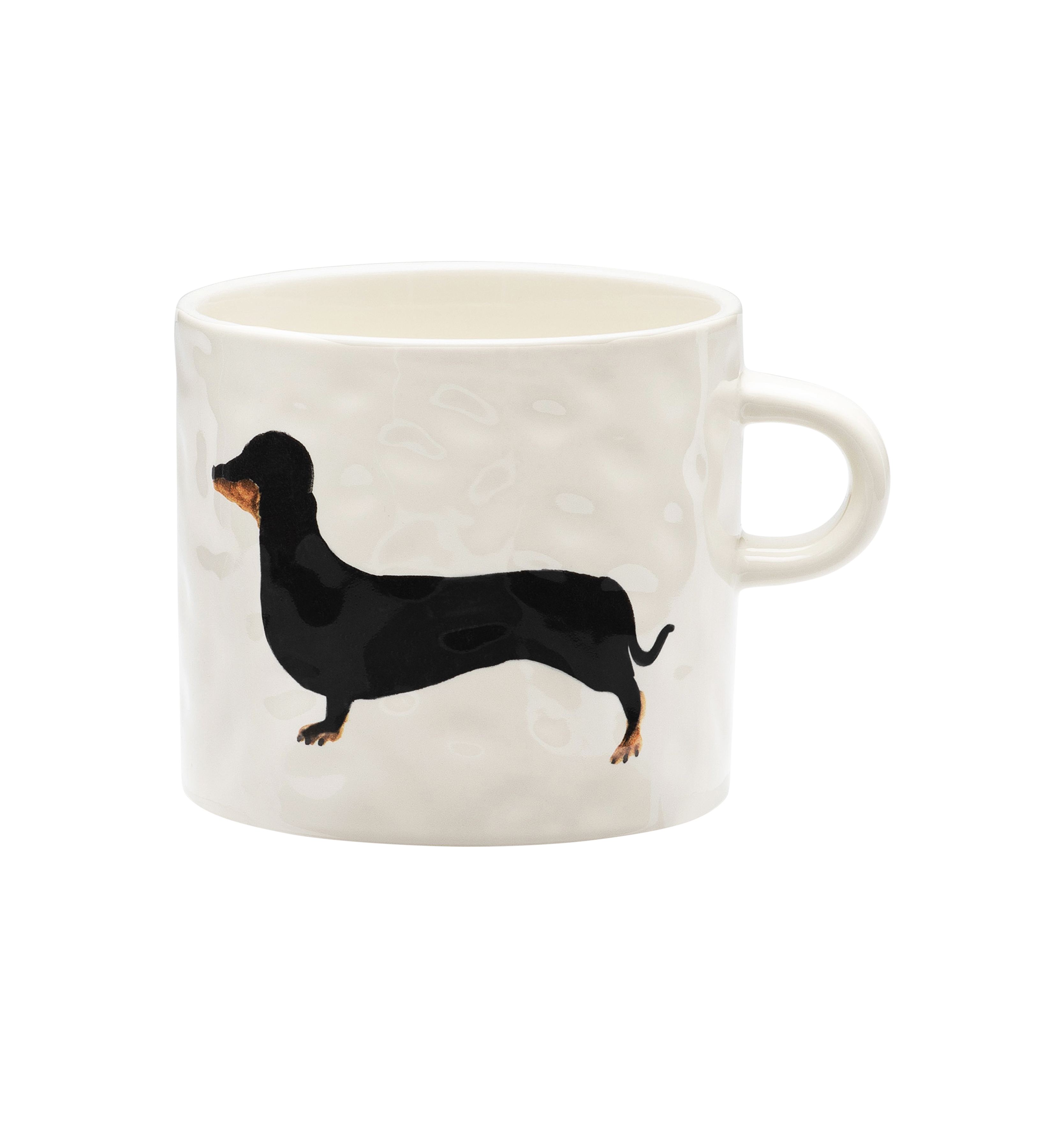 Dachshund kop - Multicolour