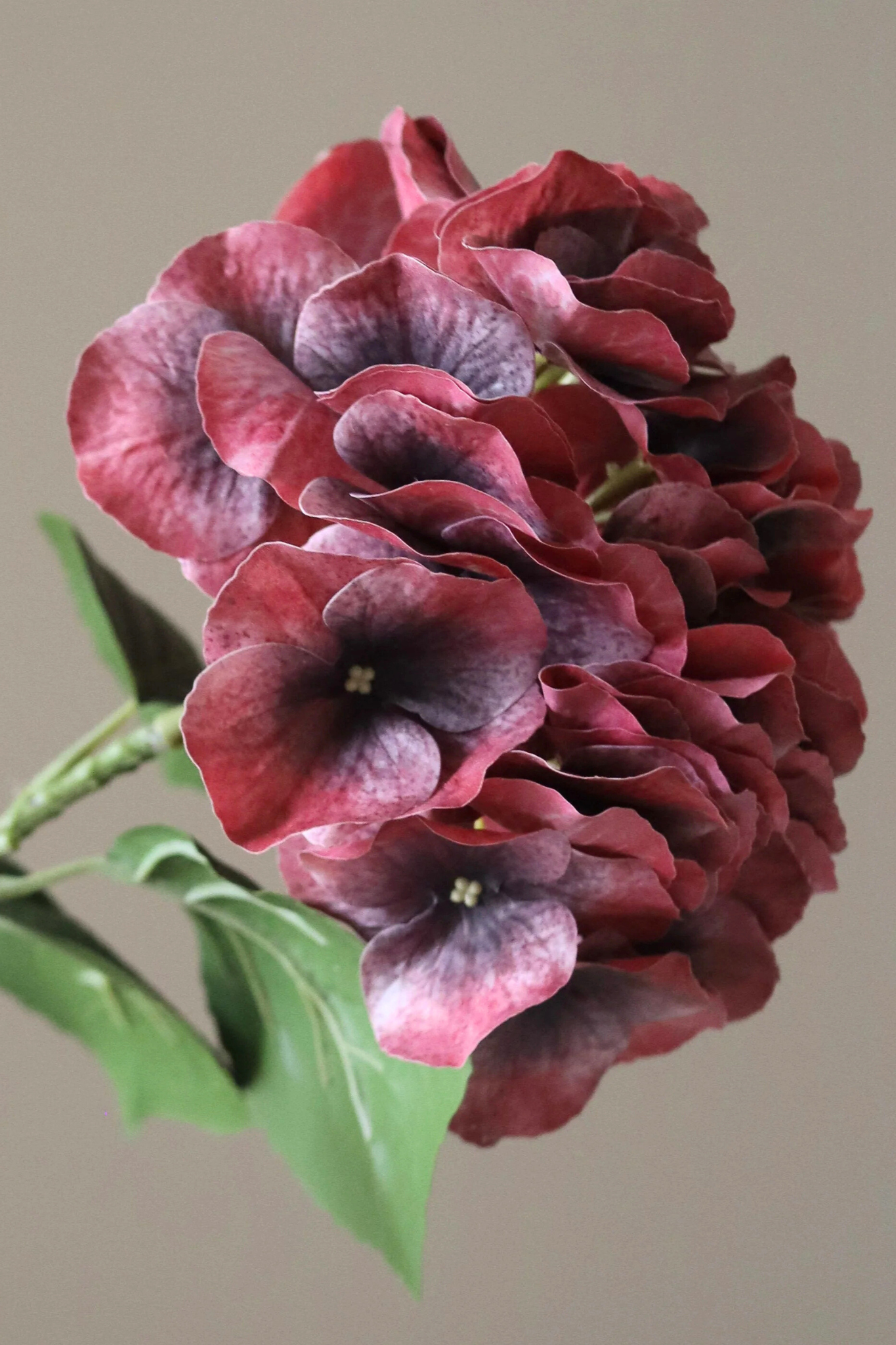 Kunstig Hortensia blomst - Burgundy