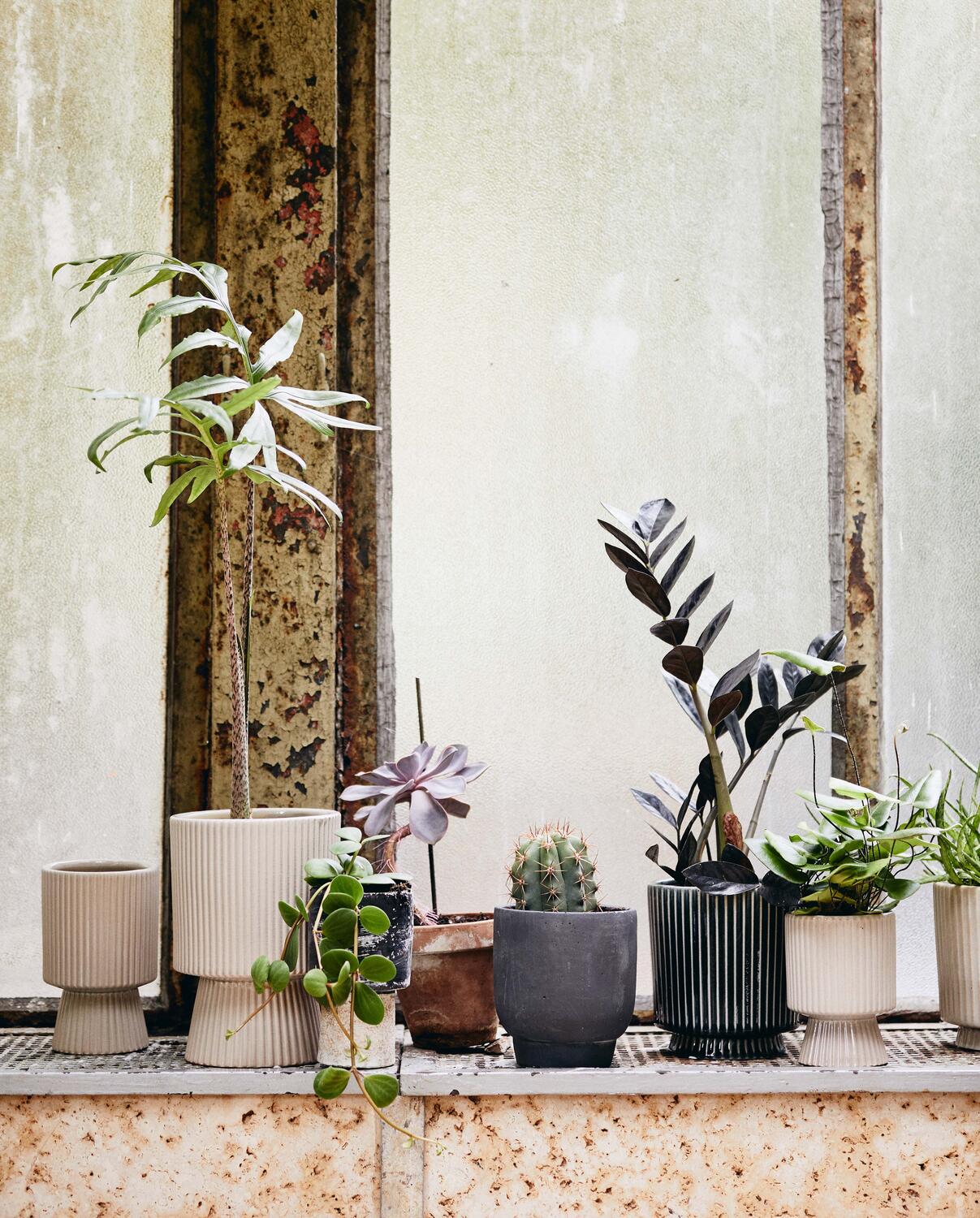 Mull urtepotteskjuler, L - sand