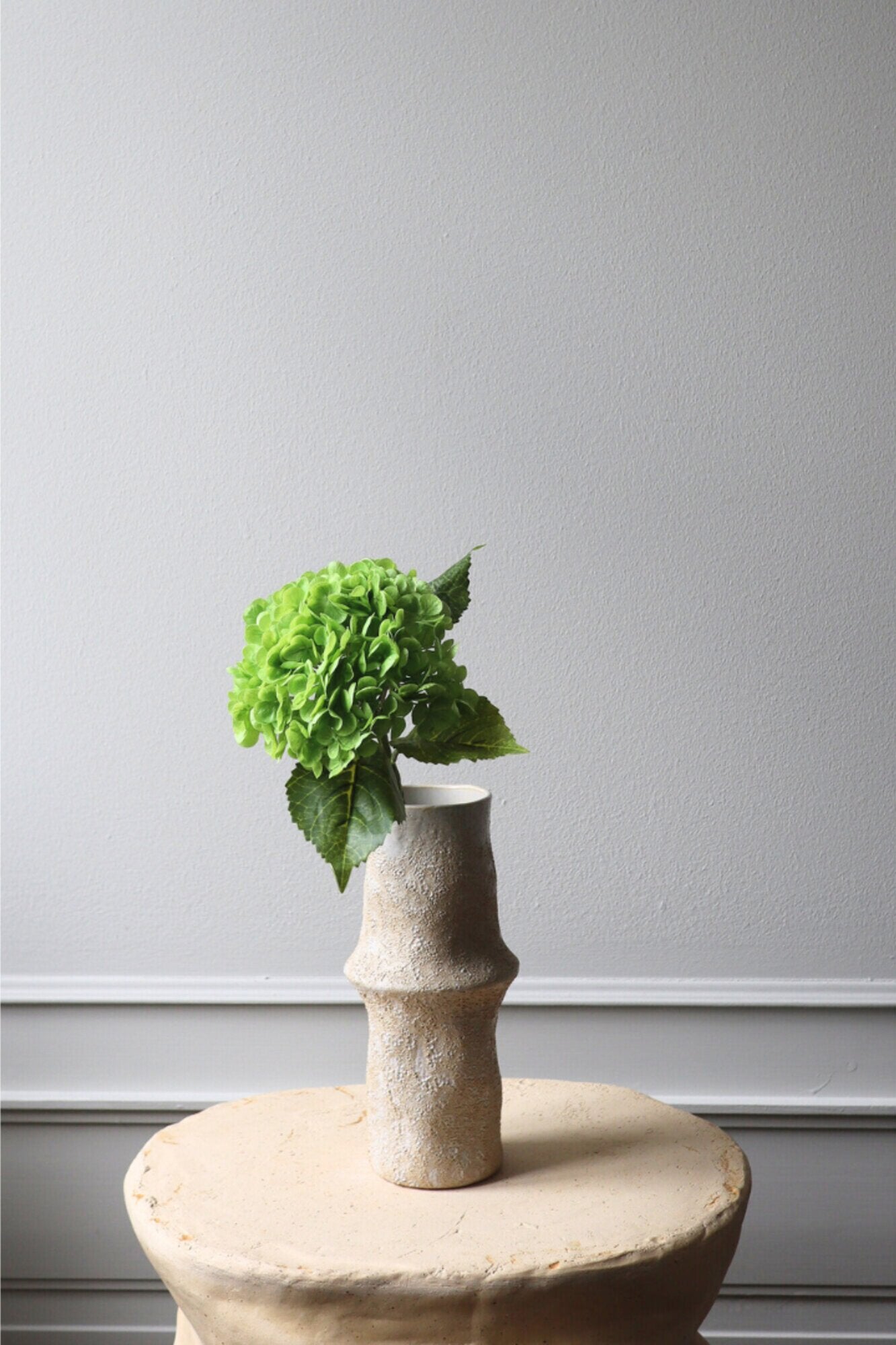 Hortensia blomst - grøn