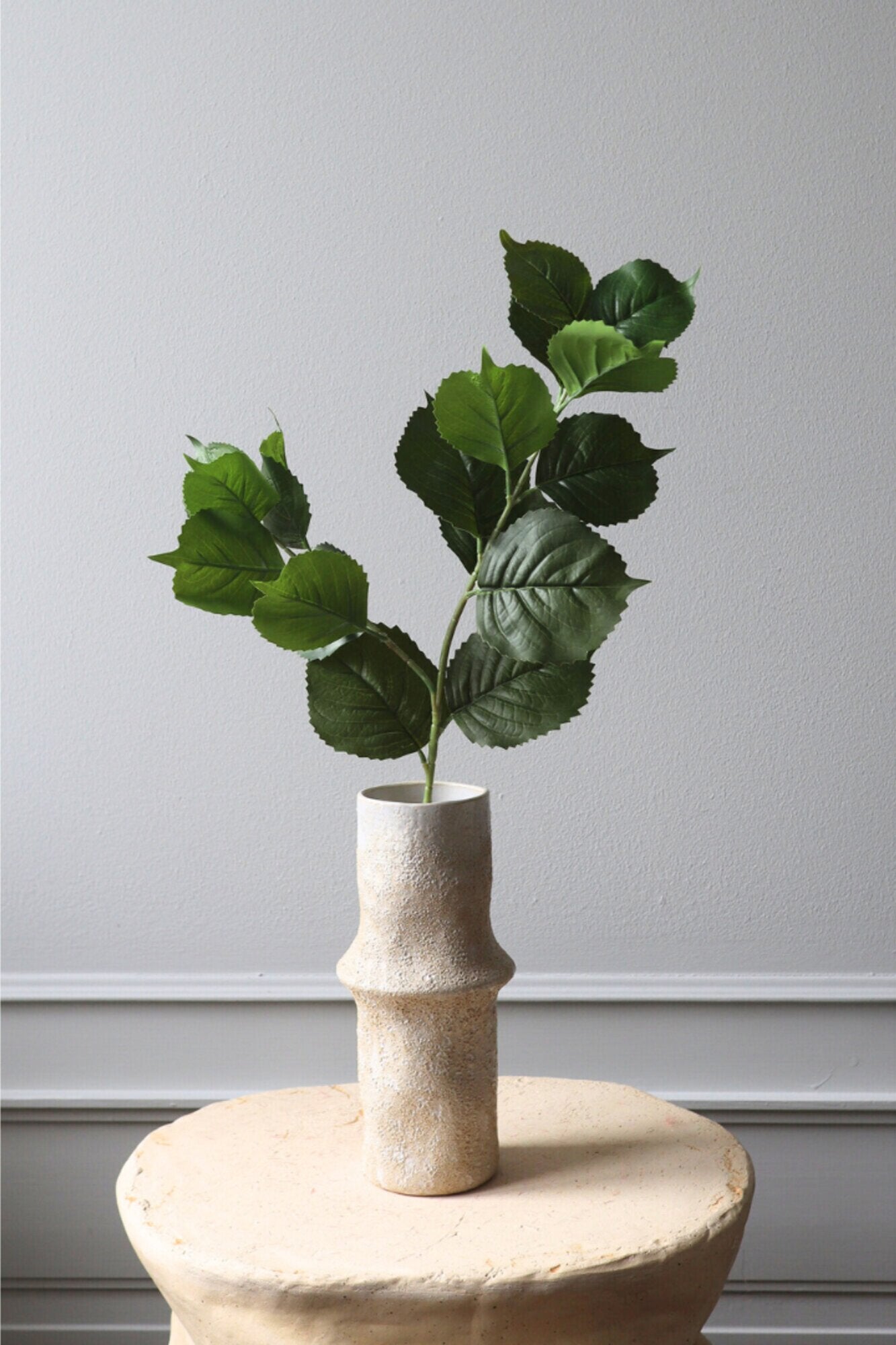 Hortensia blade - grøn