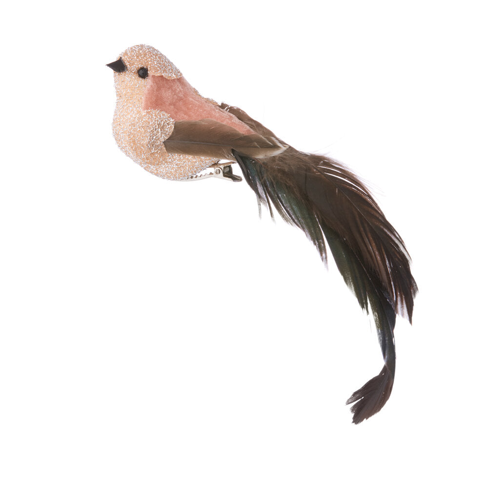 Fugl på clips, brun - B20 cm.