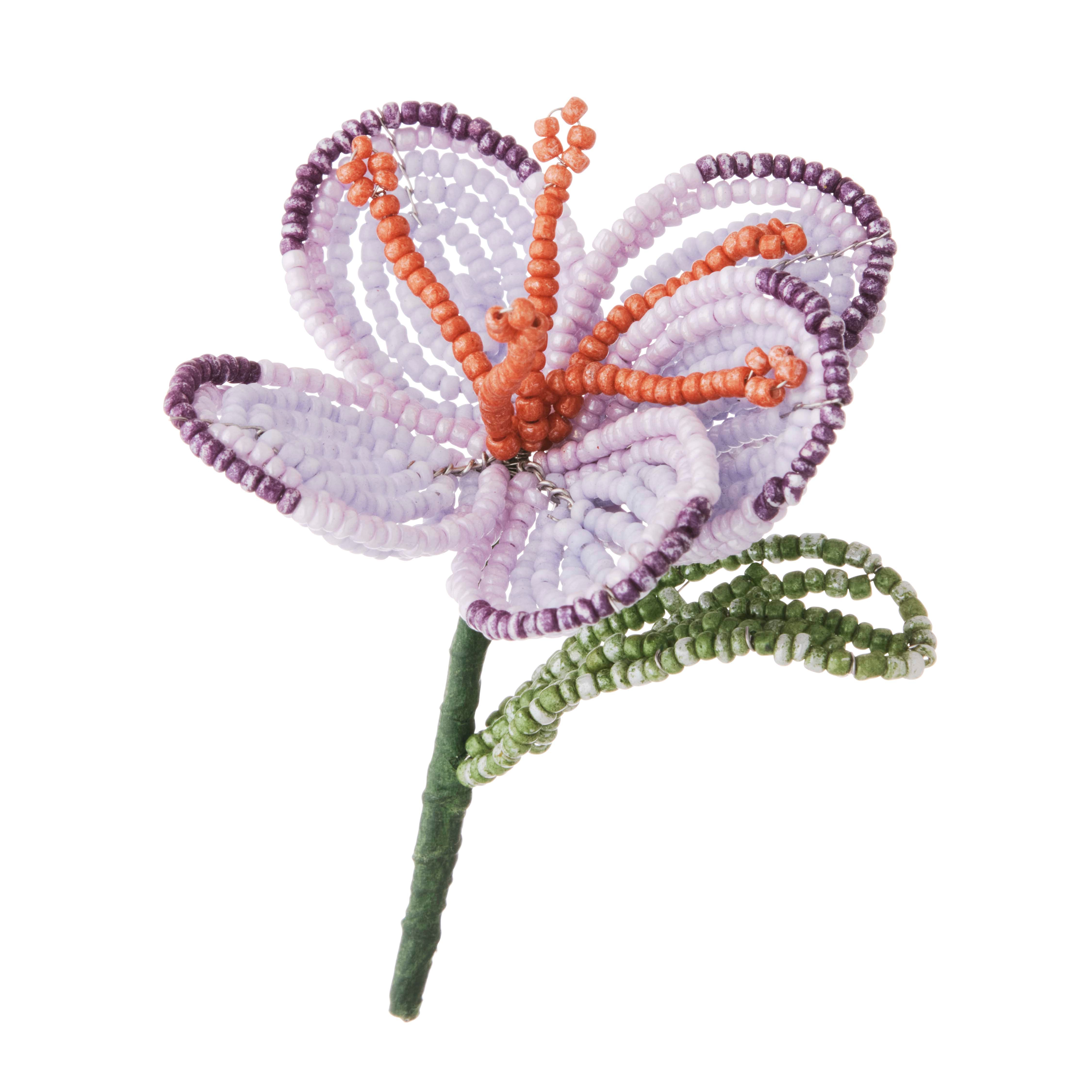 Krokus perleblomst - lilla/grøn