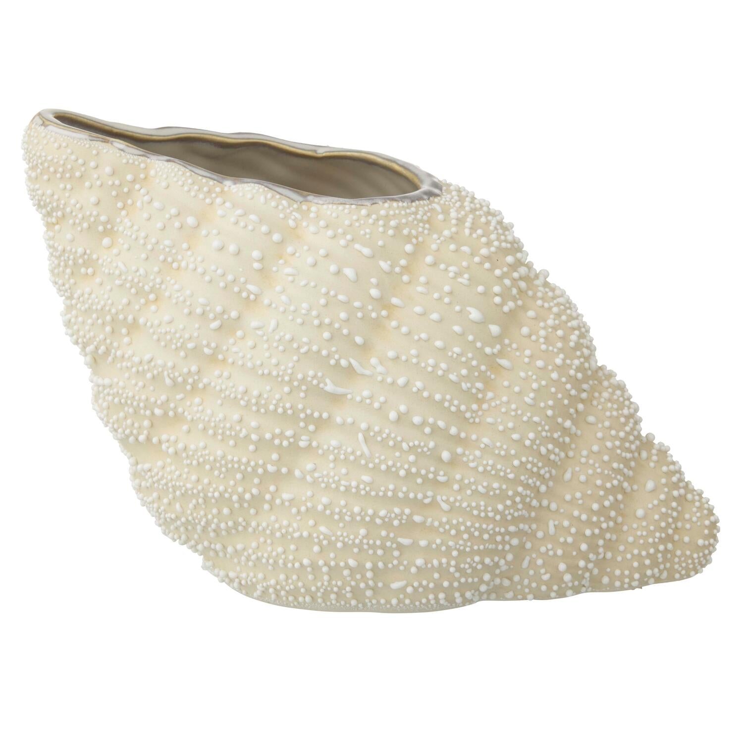 Konkylie, ivory - H10 cm
