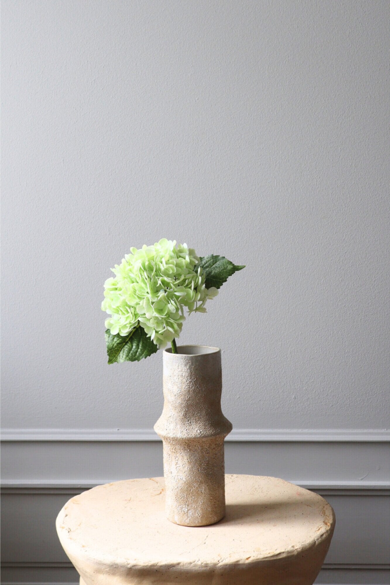 Hortensia blomst - lys grøn