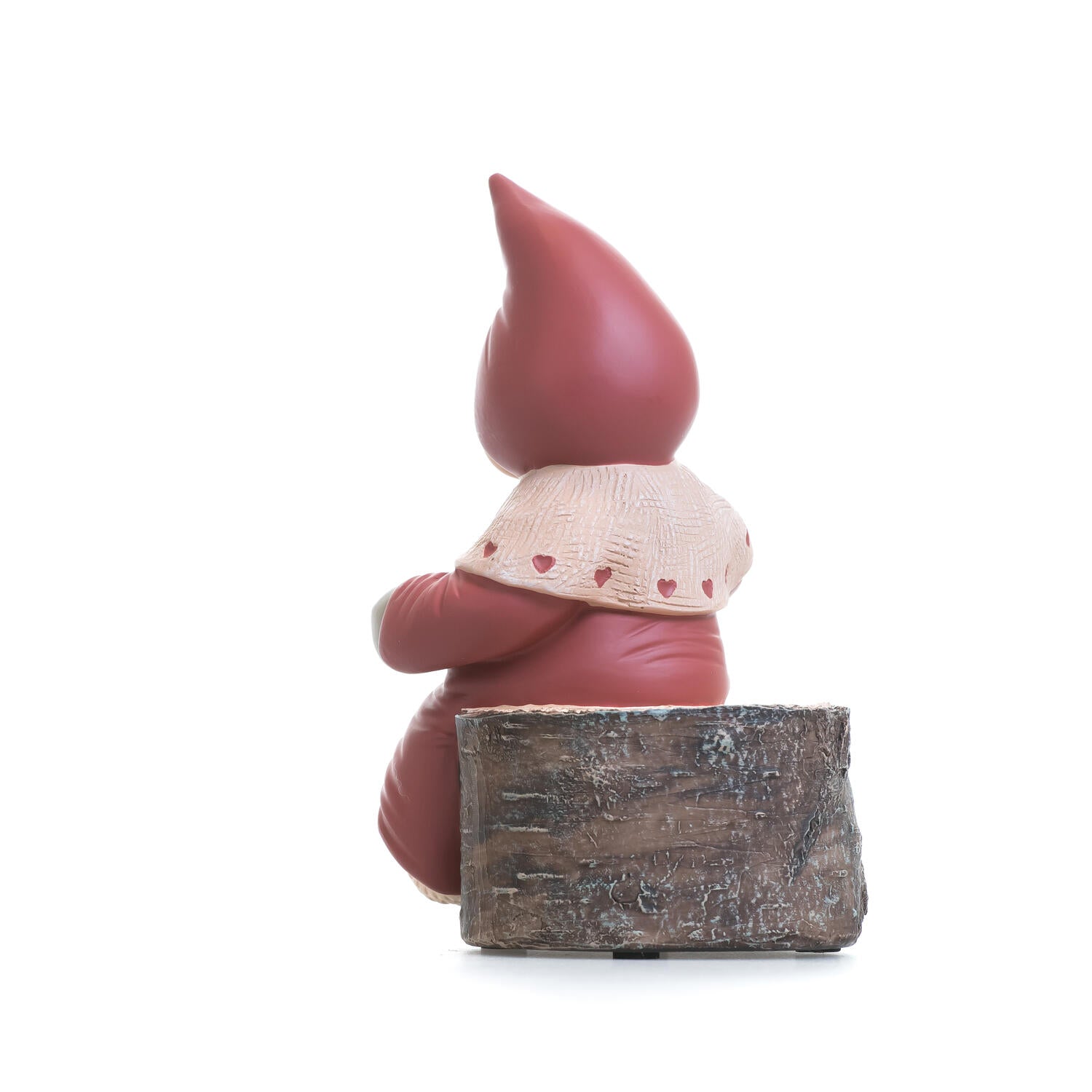 Merle nisse