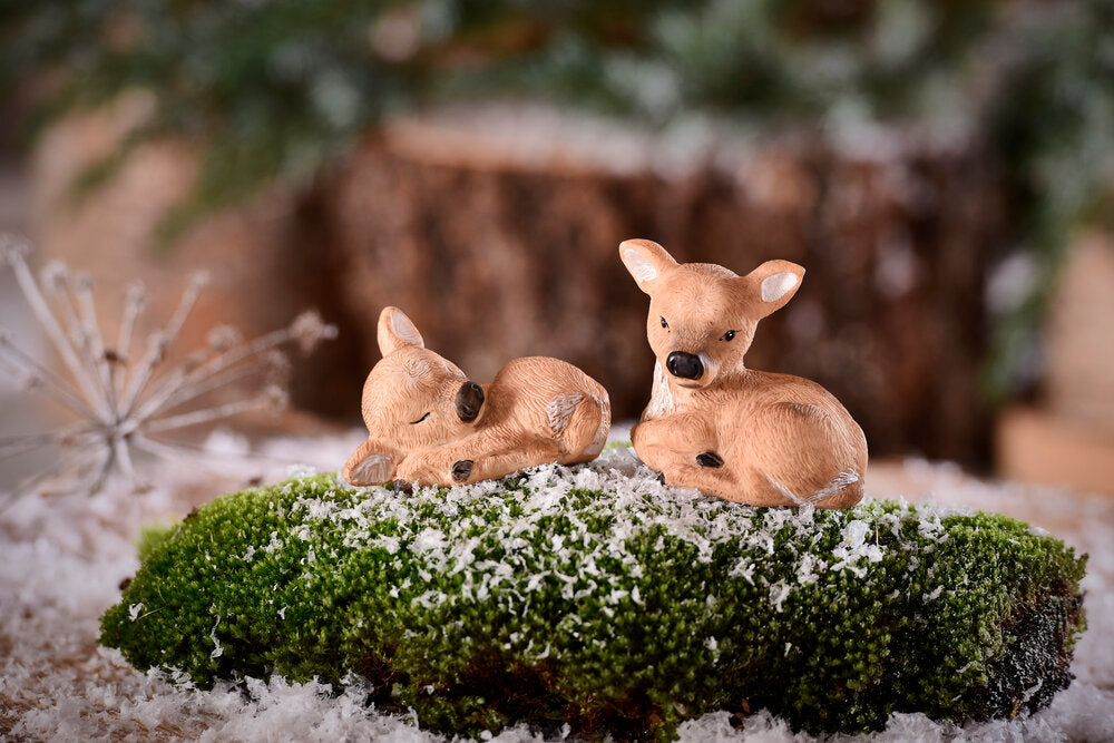 Rensdyrkalve - Rolf & Reino