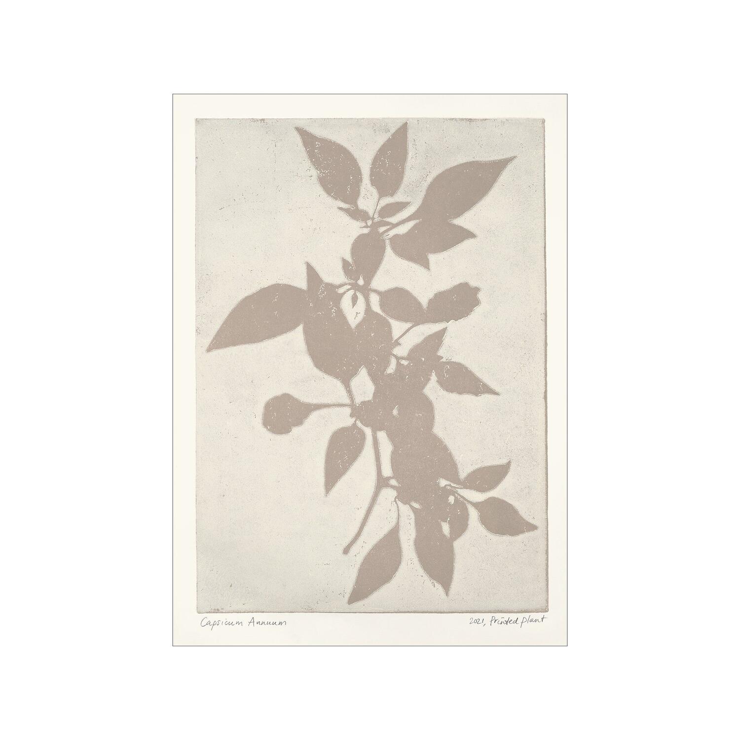 PSTR Studio Printed Plant Capsicum Annuum plakat