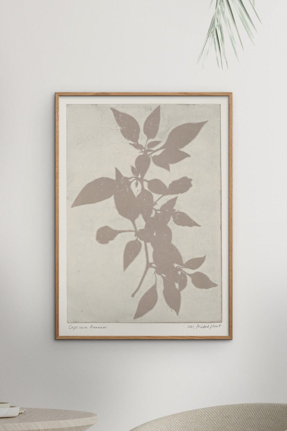 PSTR Studio Printed Plant Capsicum Annuum plakat