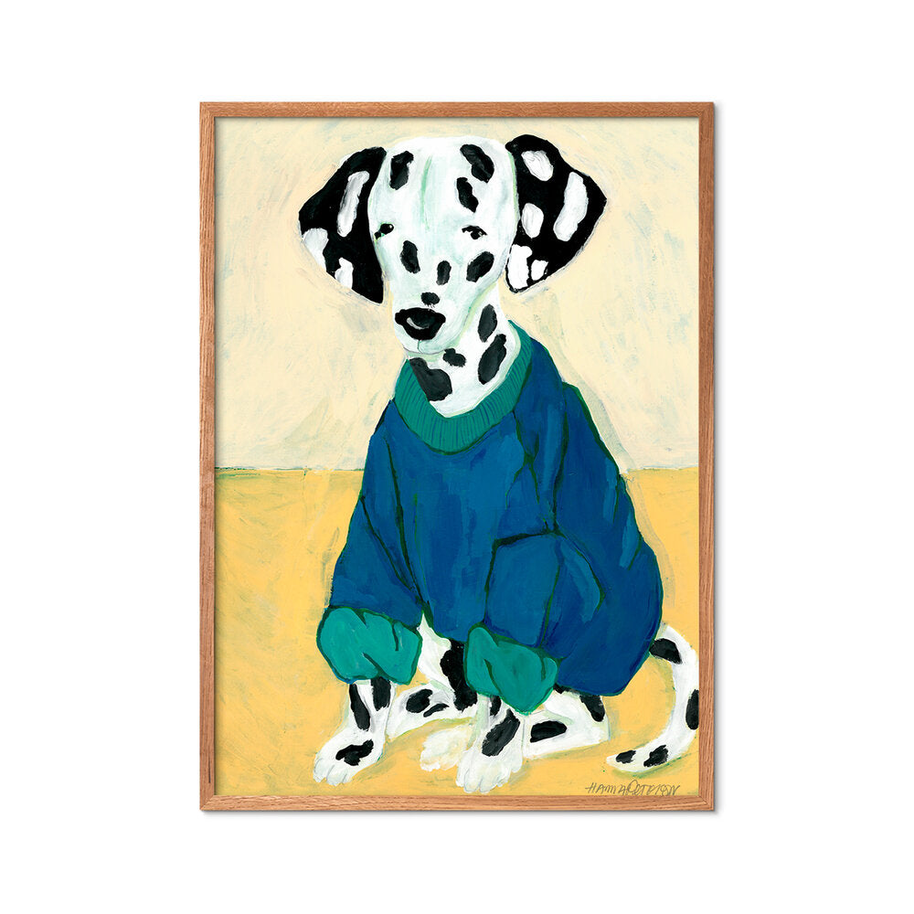 Dakmatian in Sweatshirt plakat, mønstret - 30x40 cm