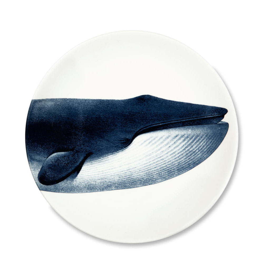 N9 middagstallerken, Shark - Ø27 cm
