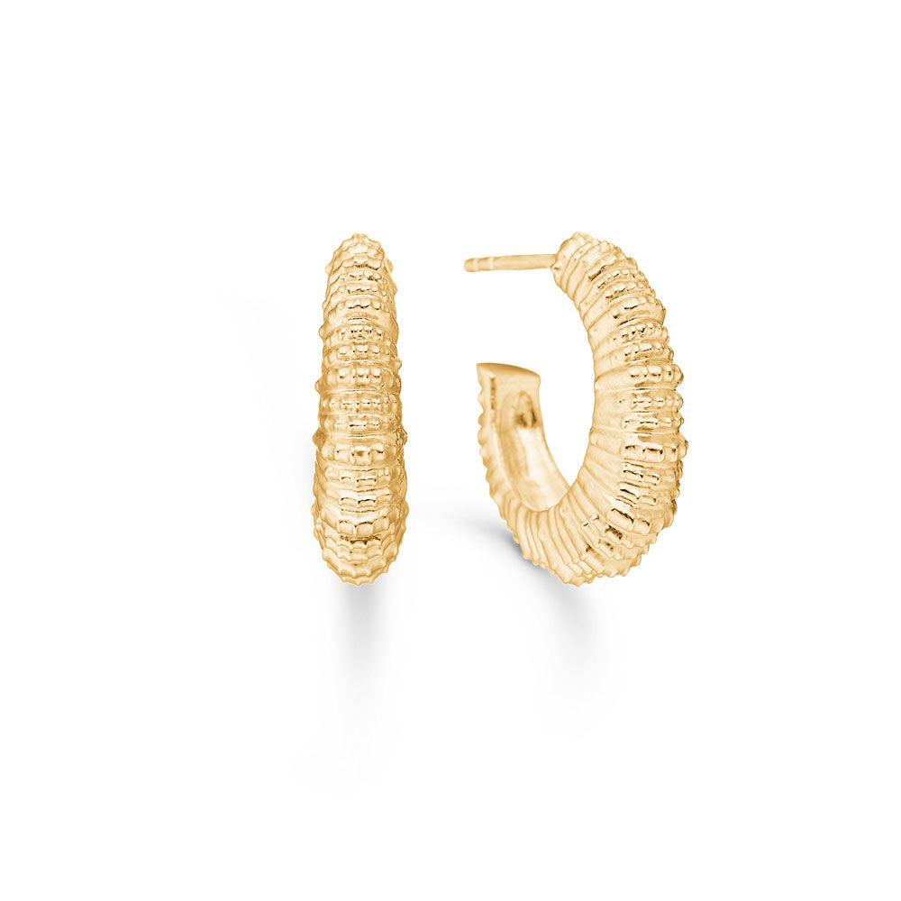 Seashell Secrets hoops, stor - forgyldt