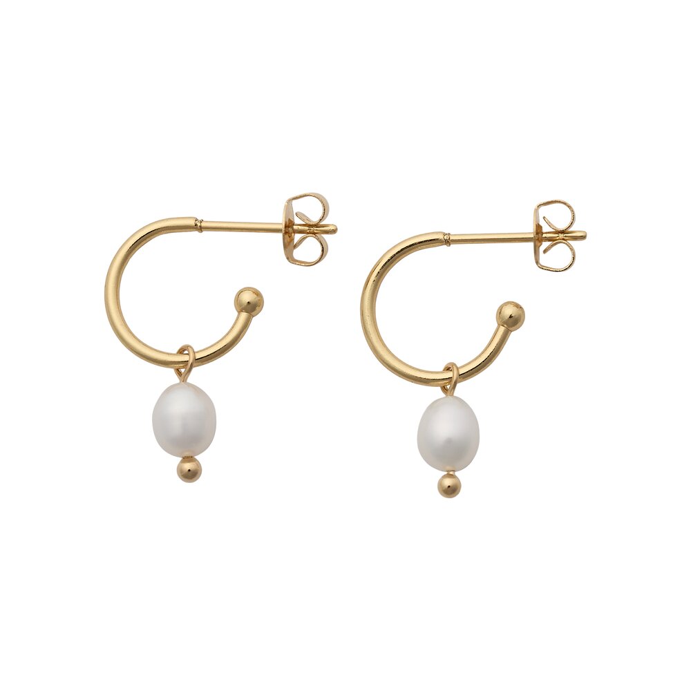 Mini Pearl øreringe - forgyldt