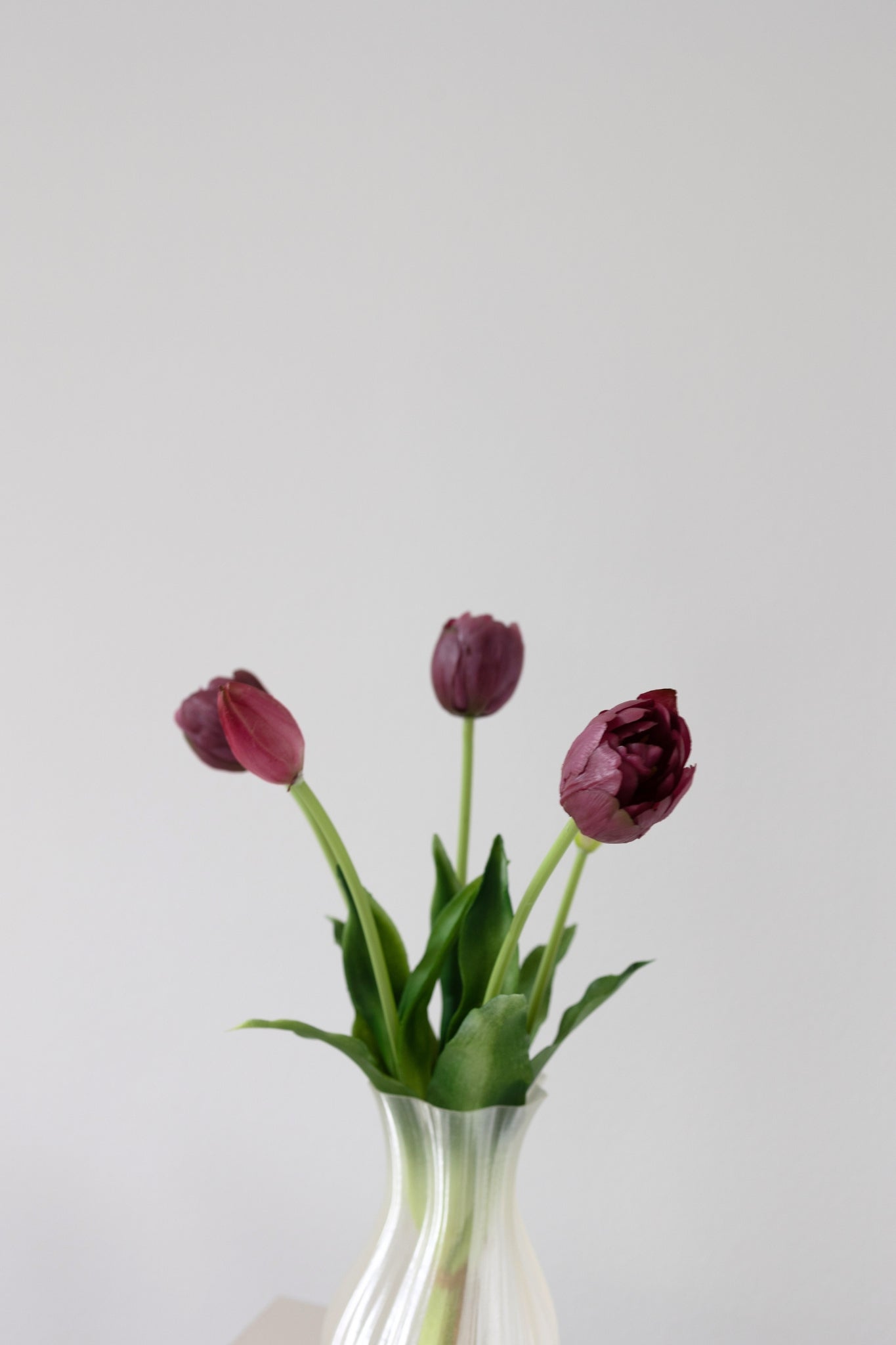 Kunstige tulipaner buket - Bordeaux