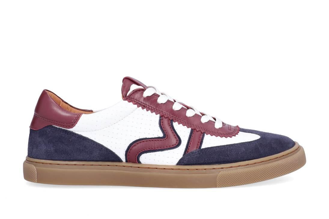Sneakers - Navy/White/Bordo Comb 581