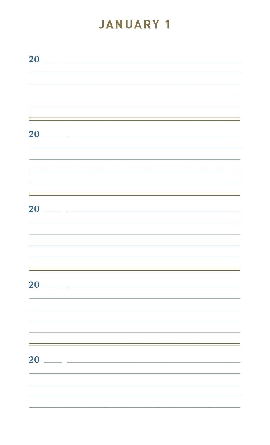 Denim One Line a Day bog