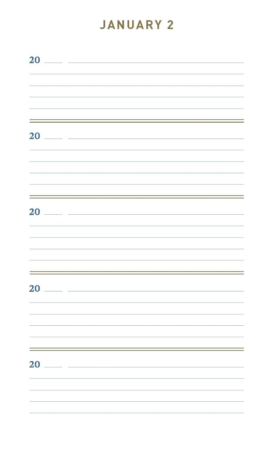 Denim One Line a Day bog