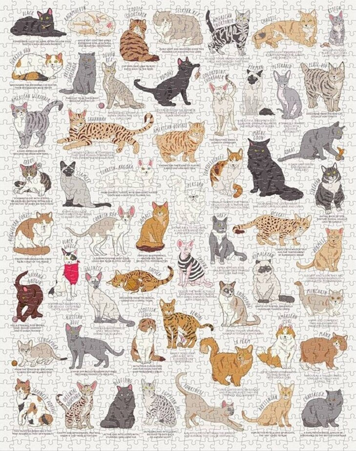 Cat lover's - 1000 piece puslespil