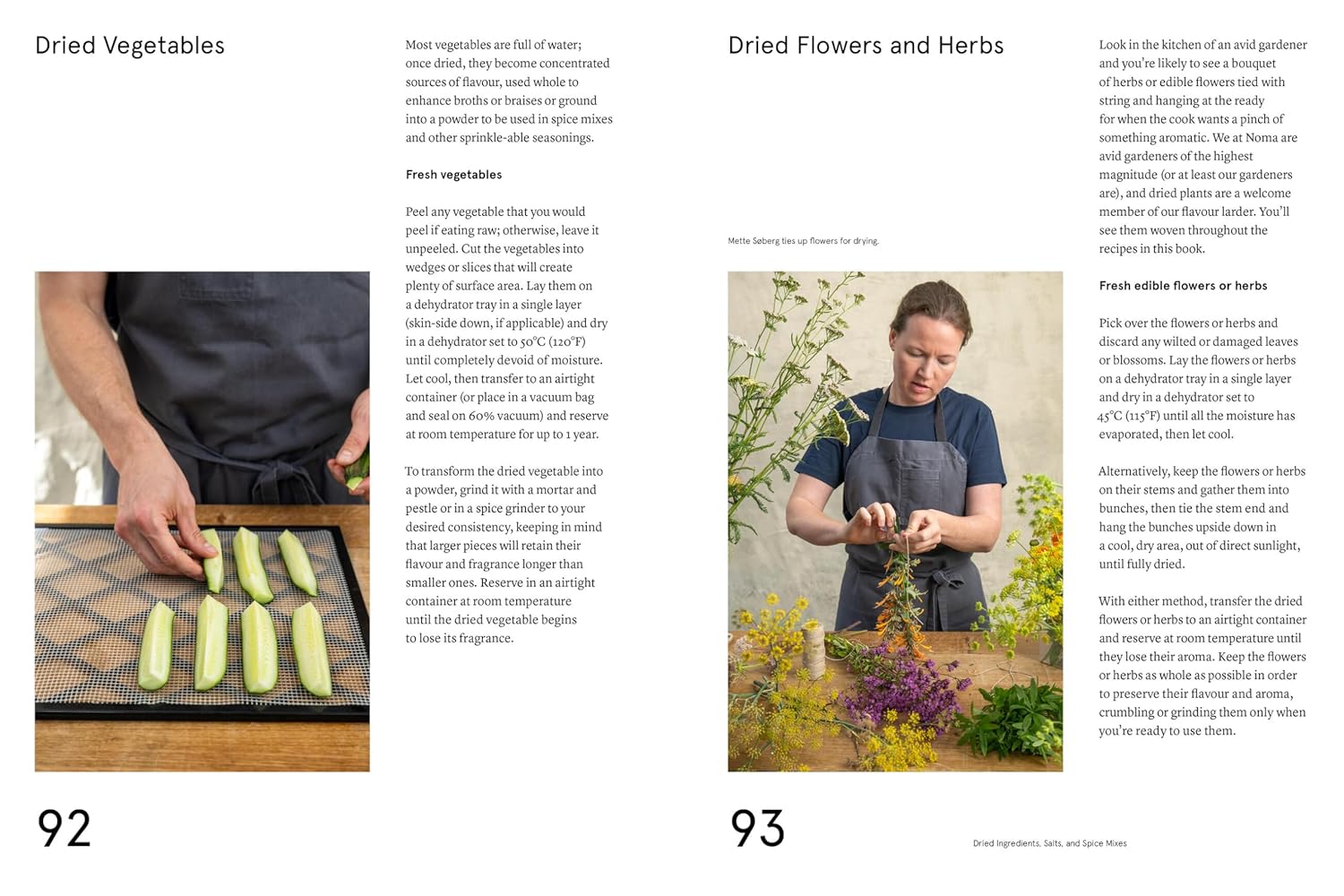 The Noma Guide to Building Flavour kogebog