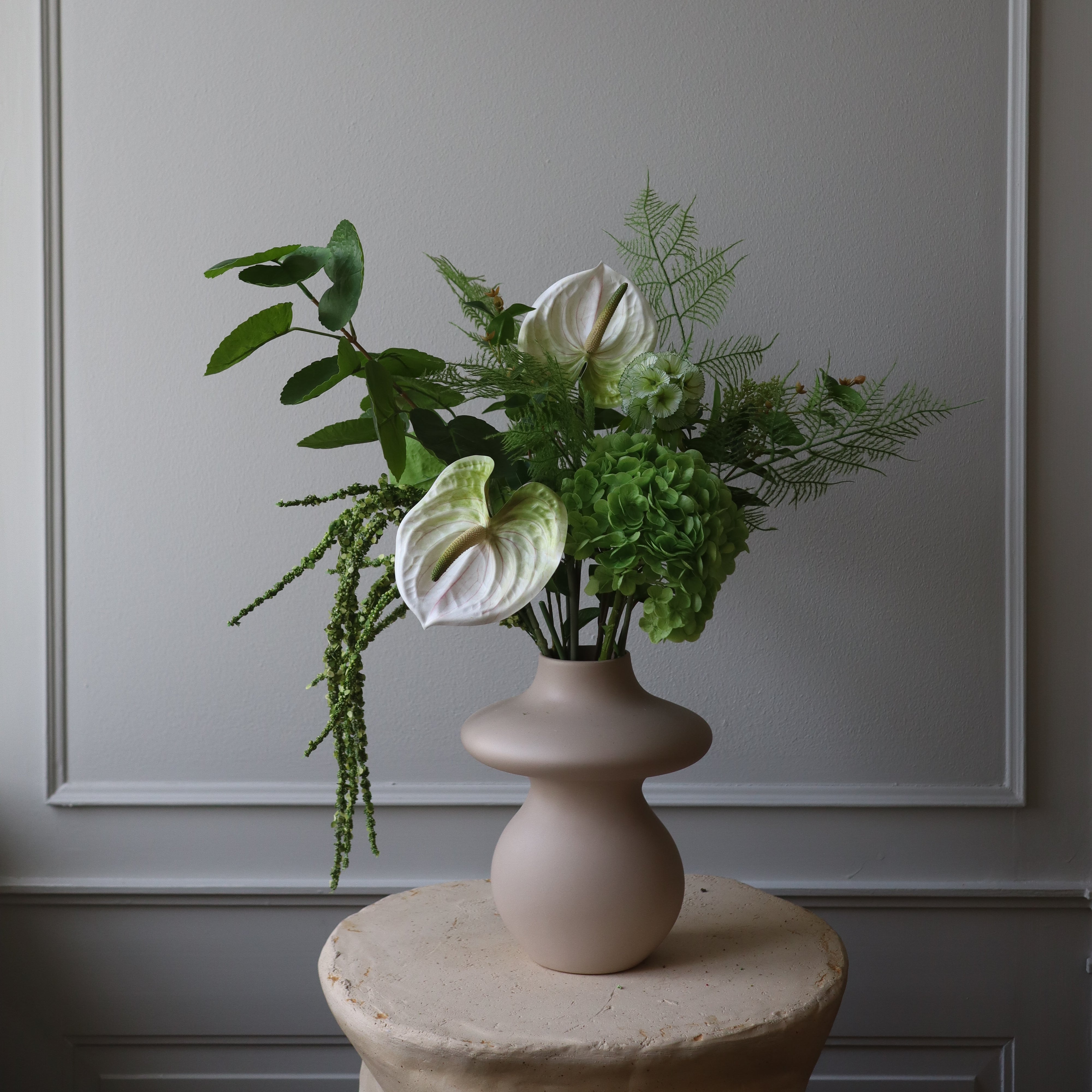 Anthurium blomst - hvid