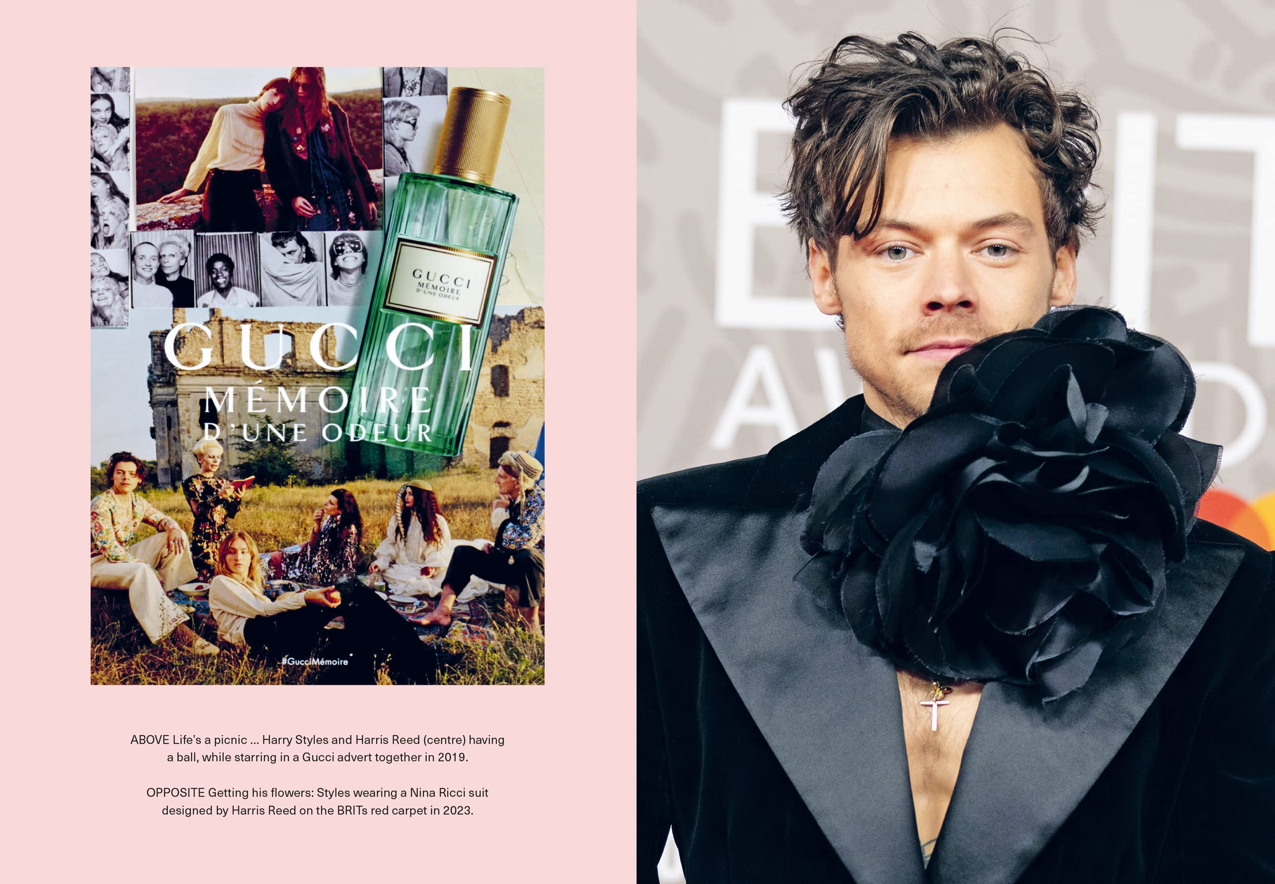 Icons of Style - Harry Styles bog