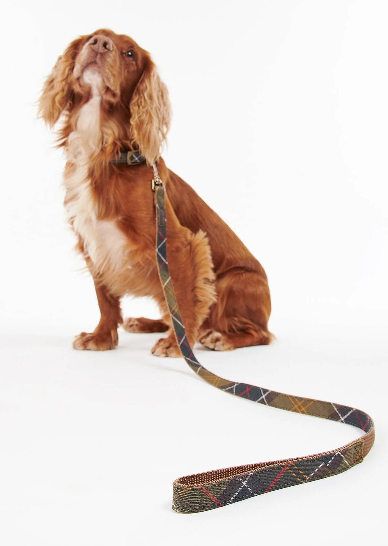 Hundesnor – Classic tartan