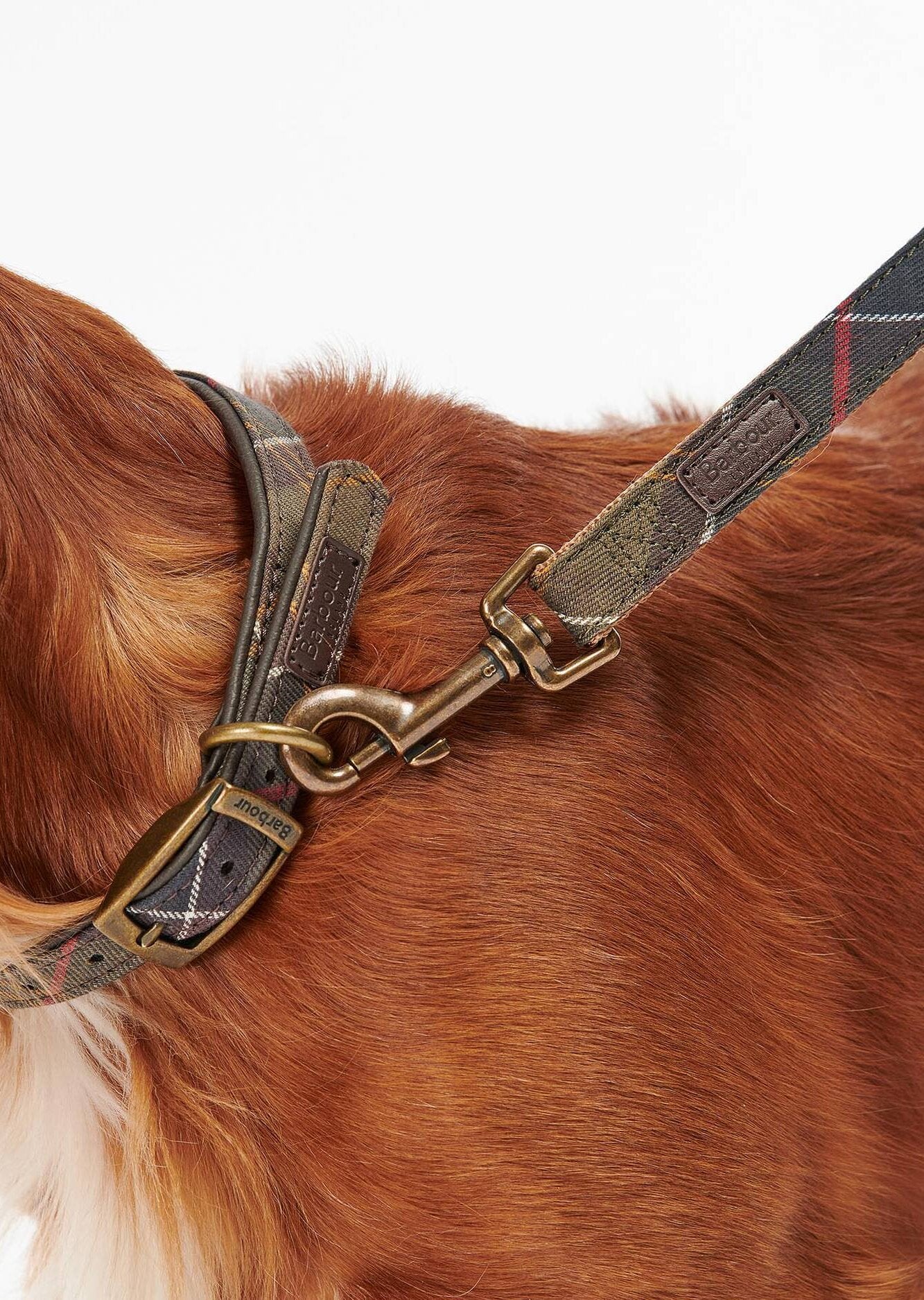 Hundesnor – Classic tartan