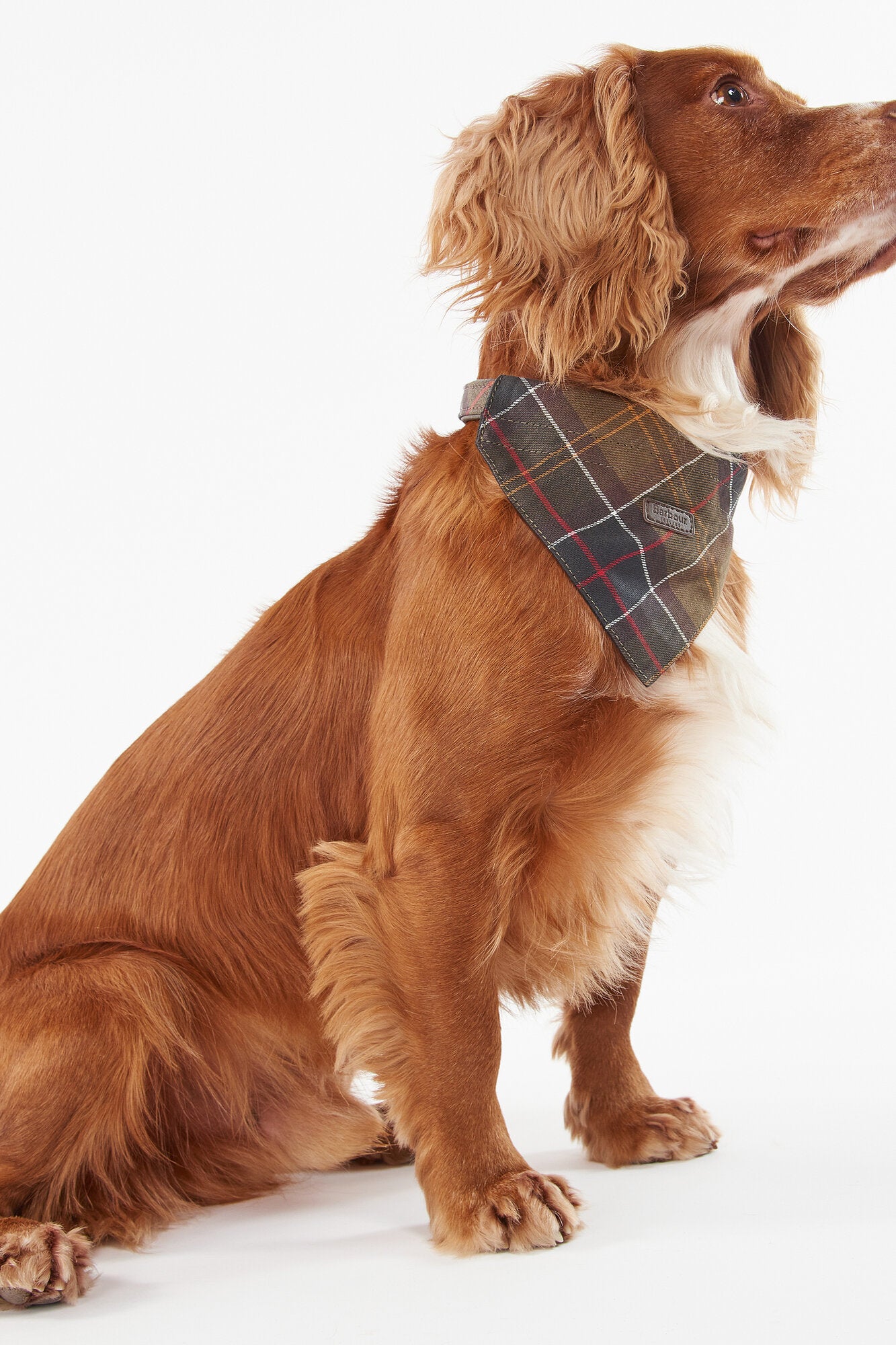 Tartan hundebandana – Cardinal tartan