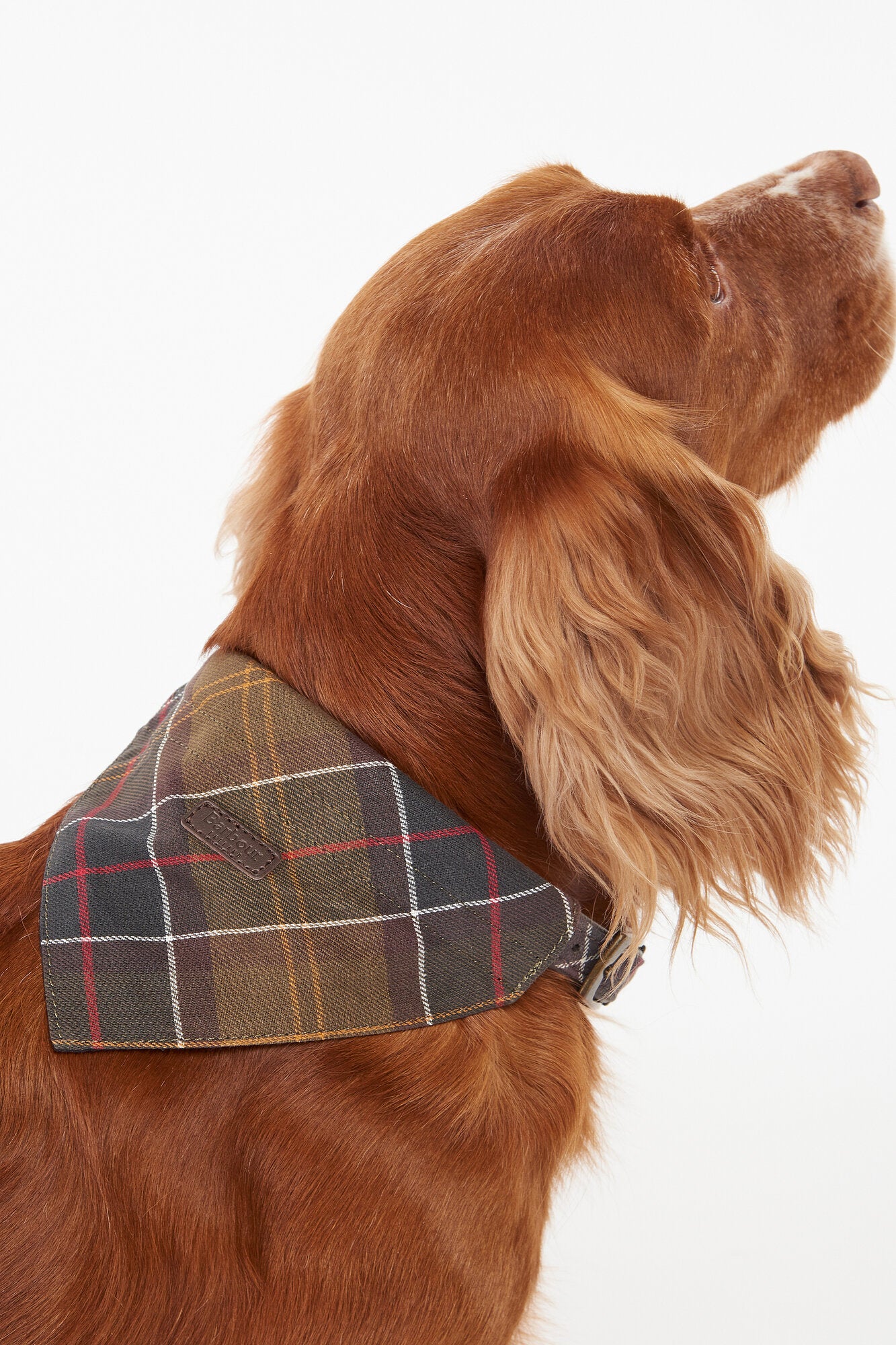 Tartan hundebandana – Cardinal tartan