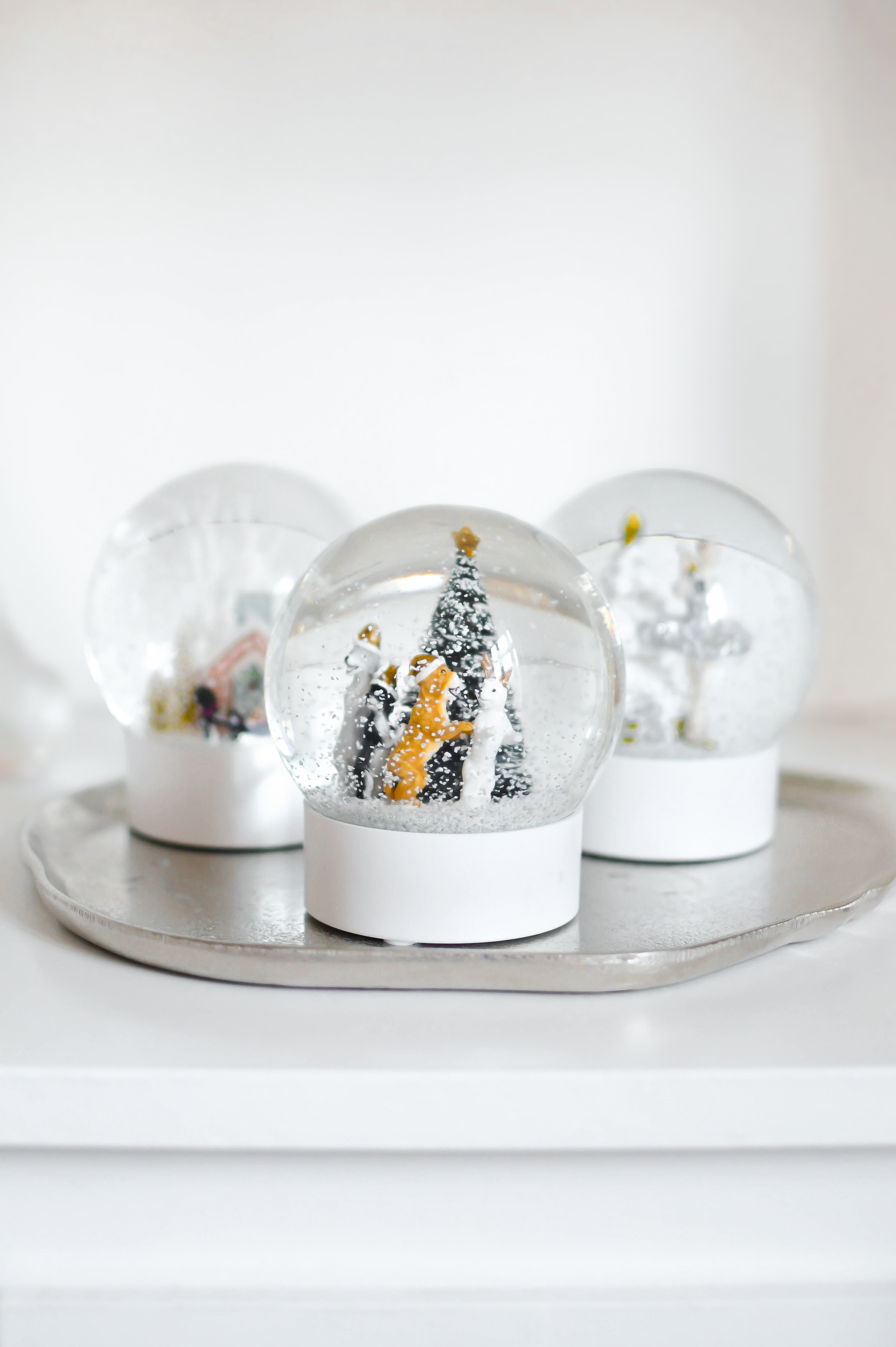 Rystekugle, Hunde - hvid