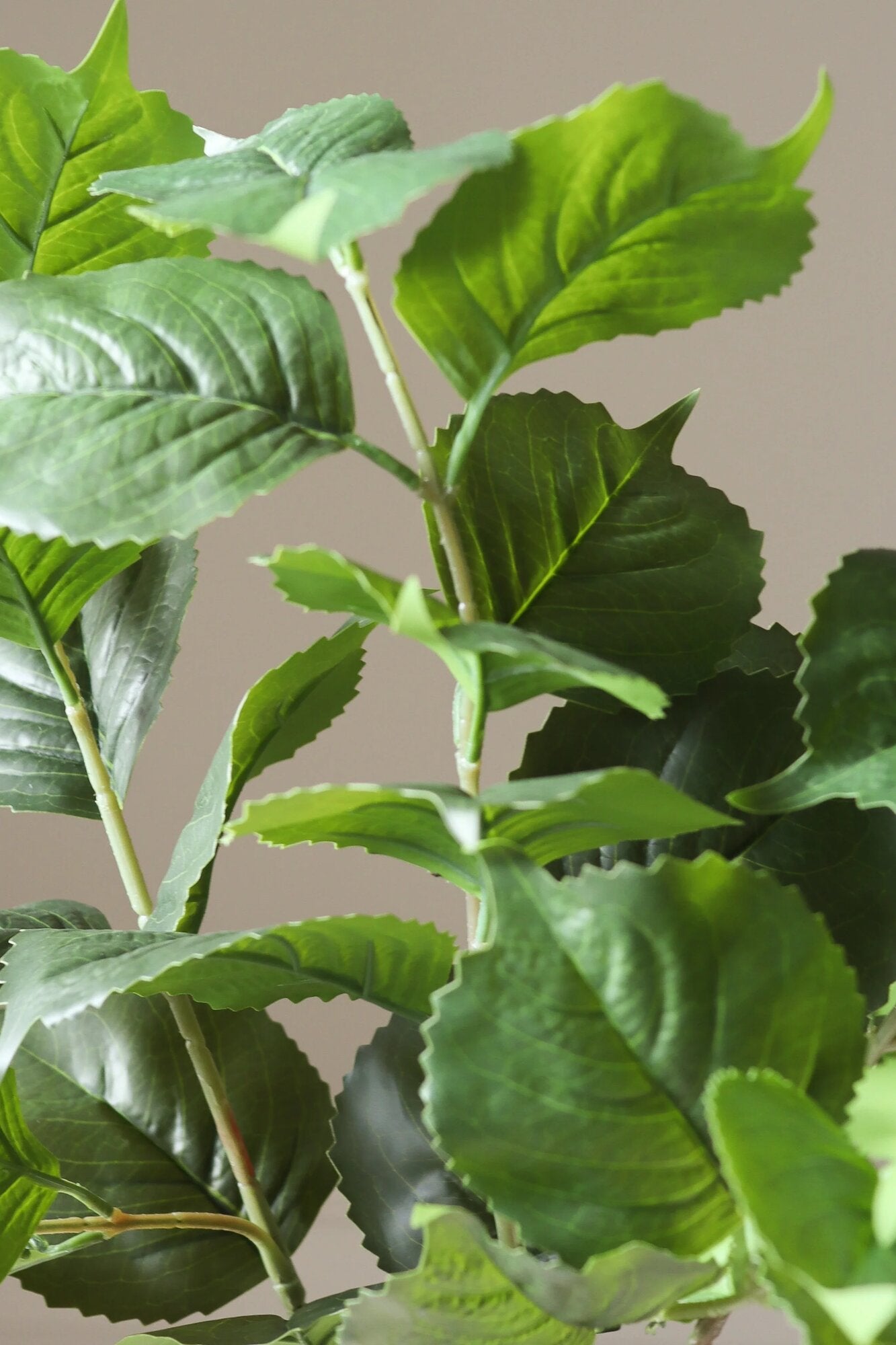 Kunstige Hortensia blade - grøn